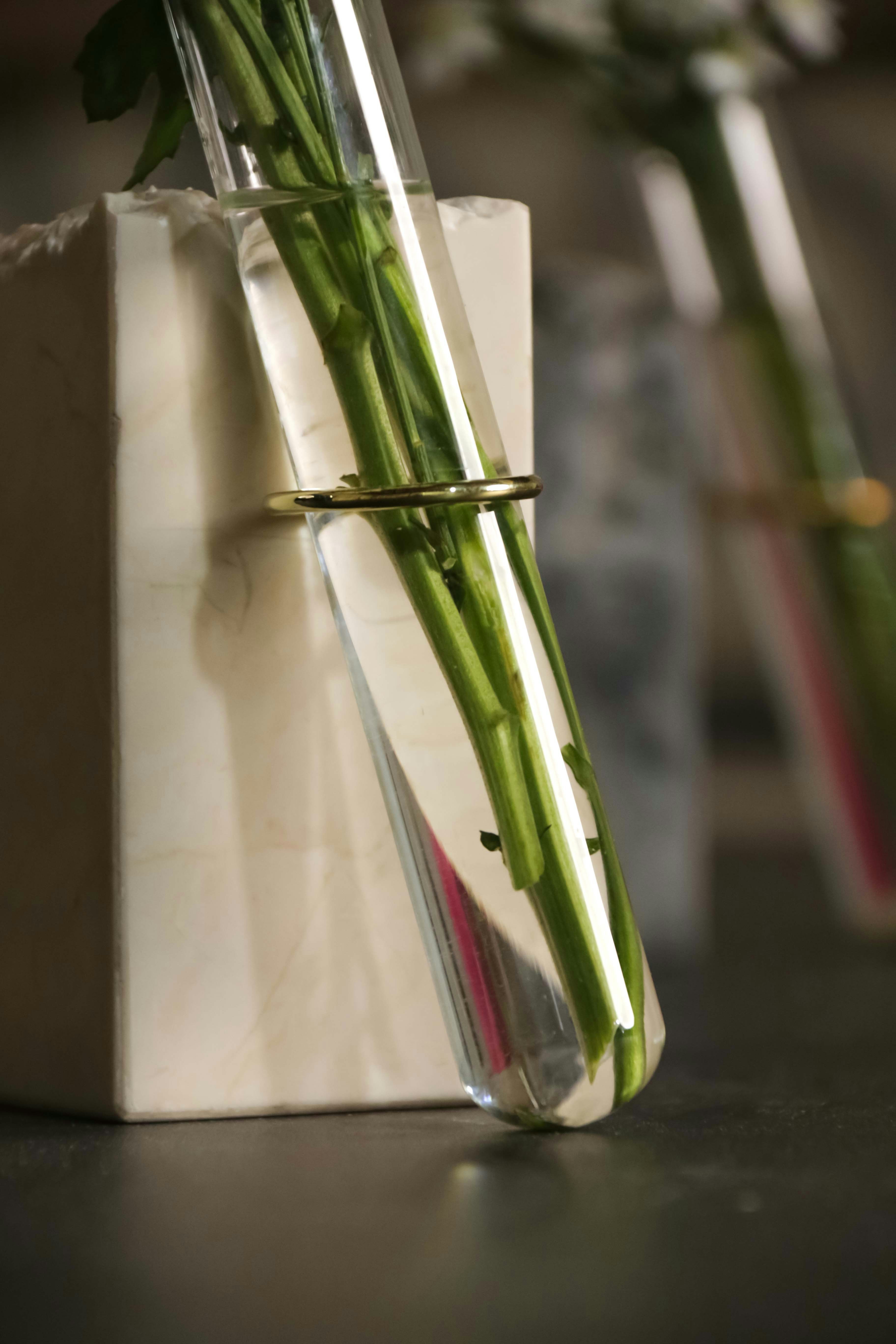 Photo by justmee_project