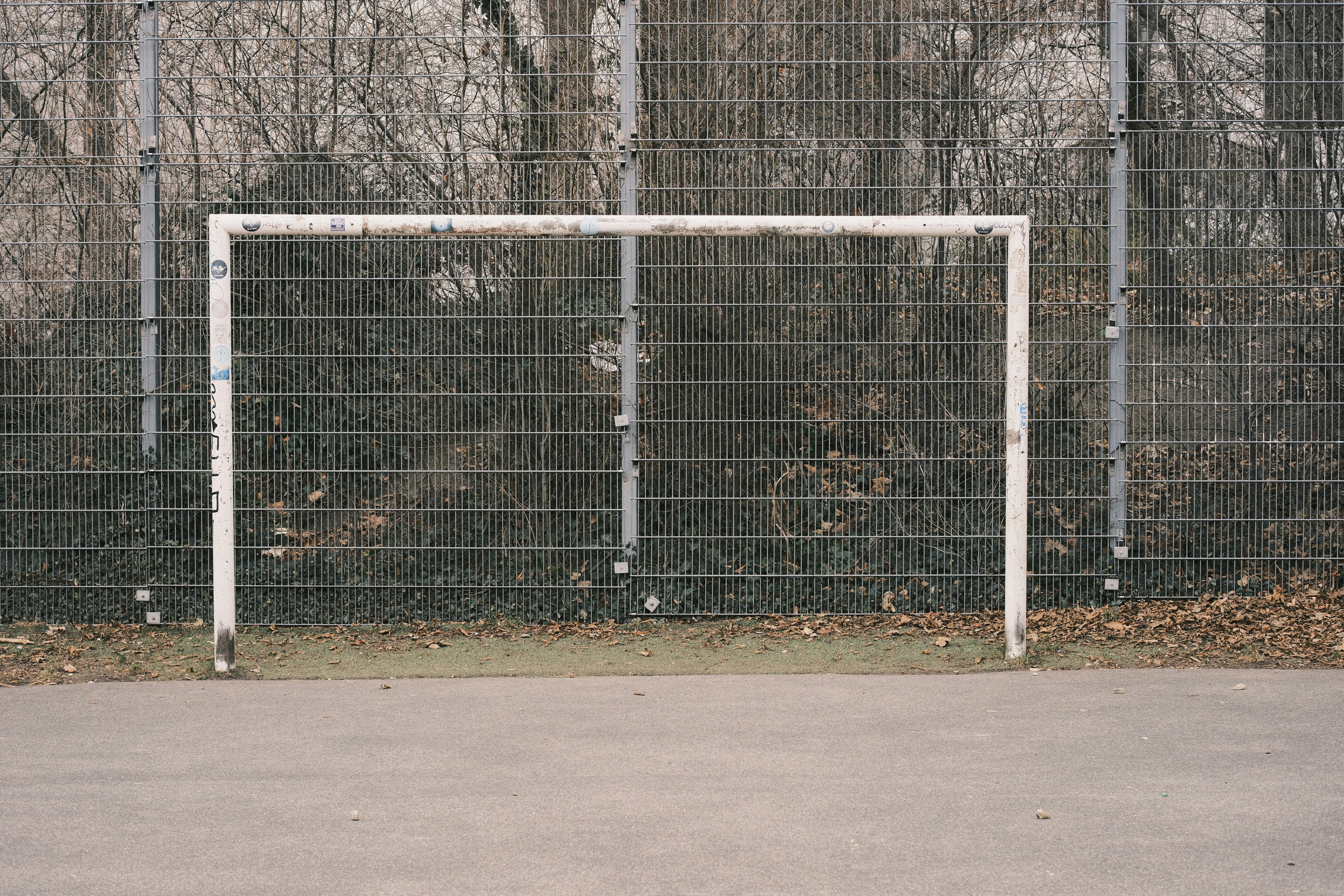 Photo by studiopizza