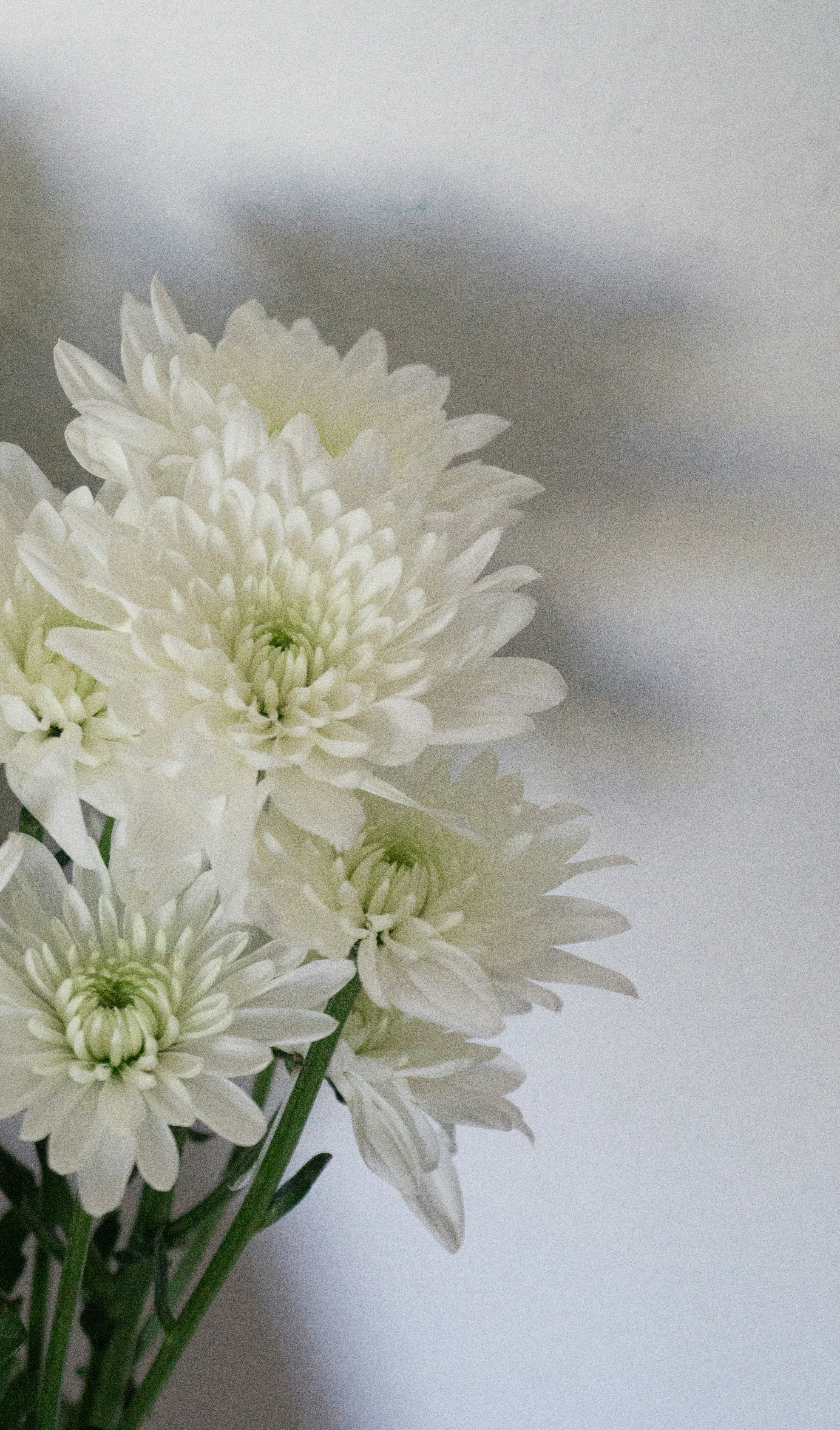 Photo by hannapisareve