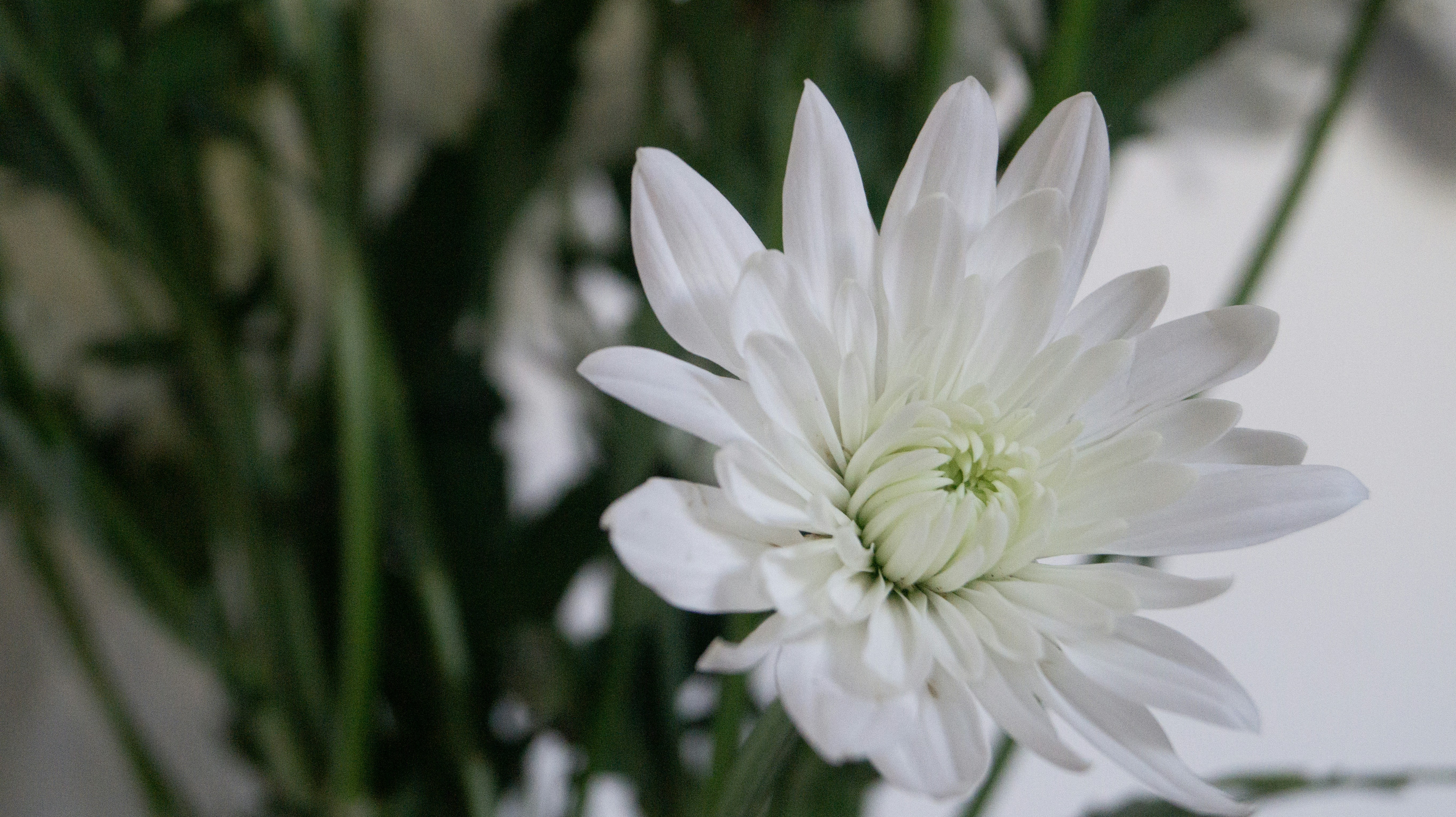 Photo by hannapisareve