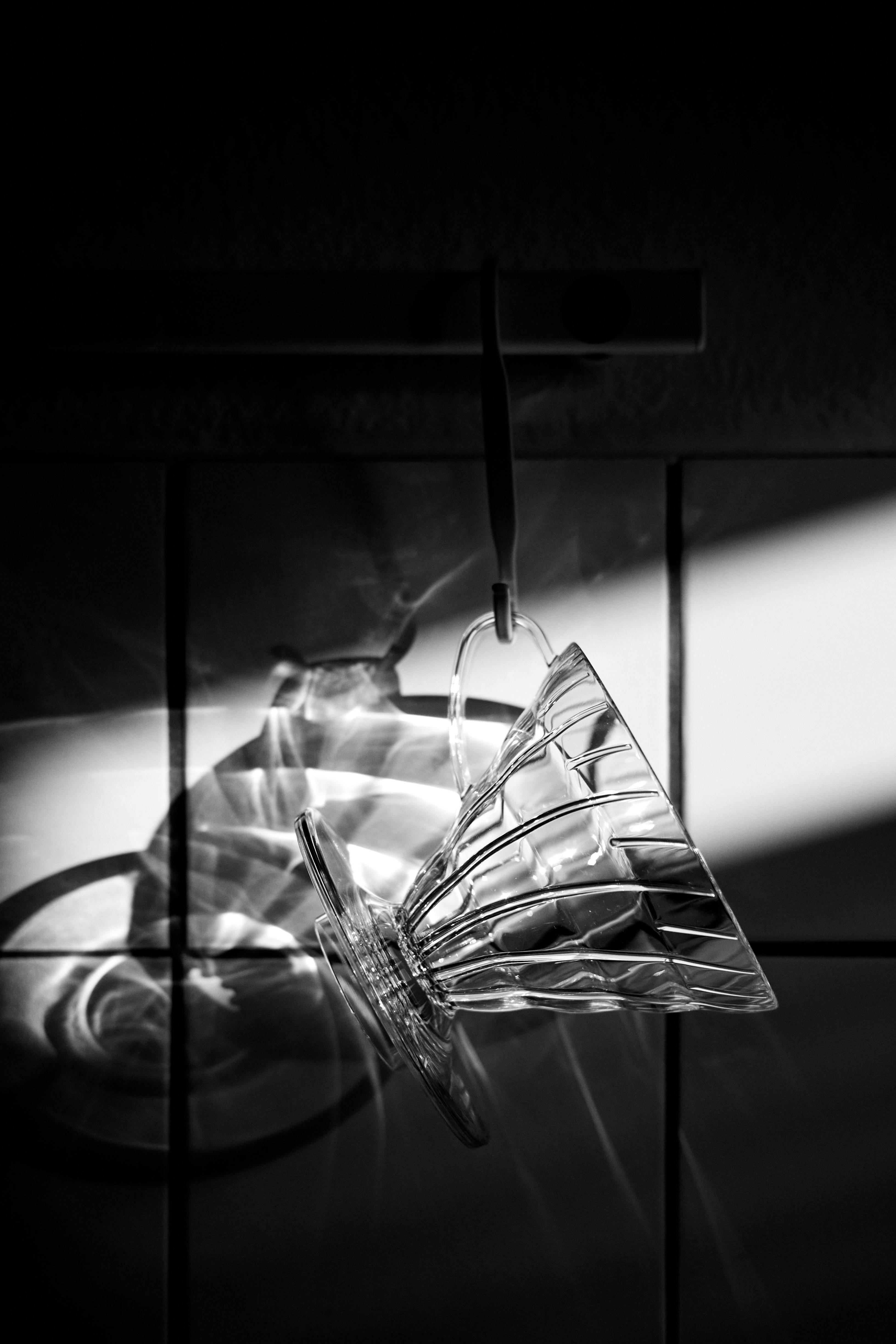 A black and white photo of a butterfly