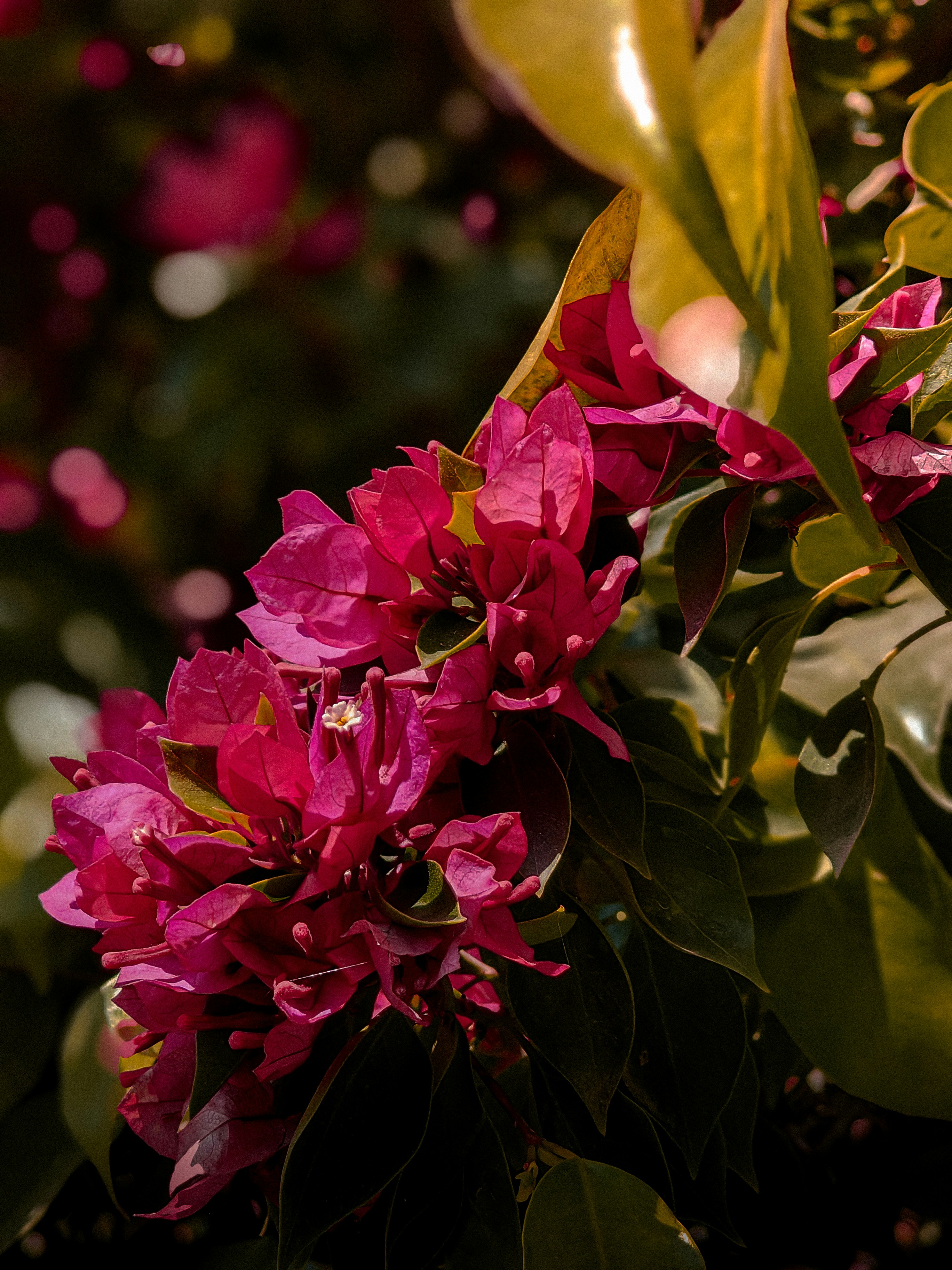 Photo by kampy_verma