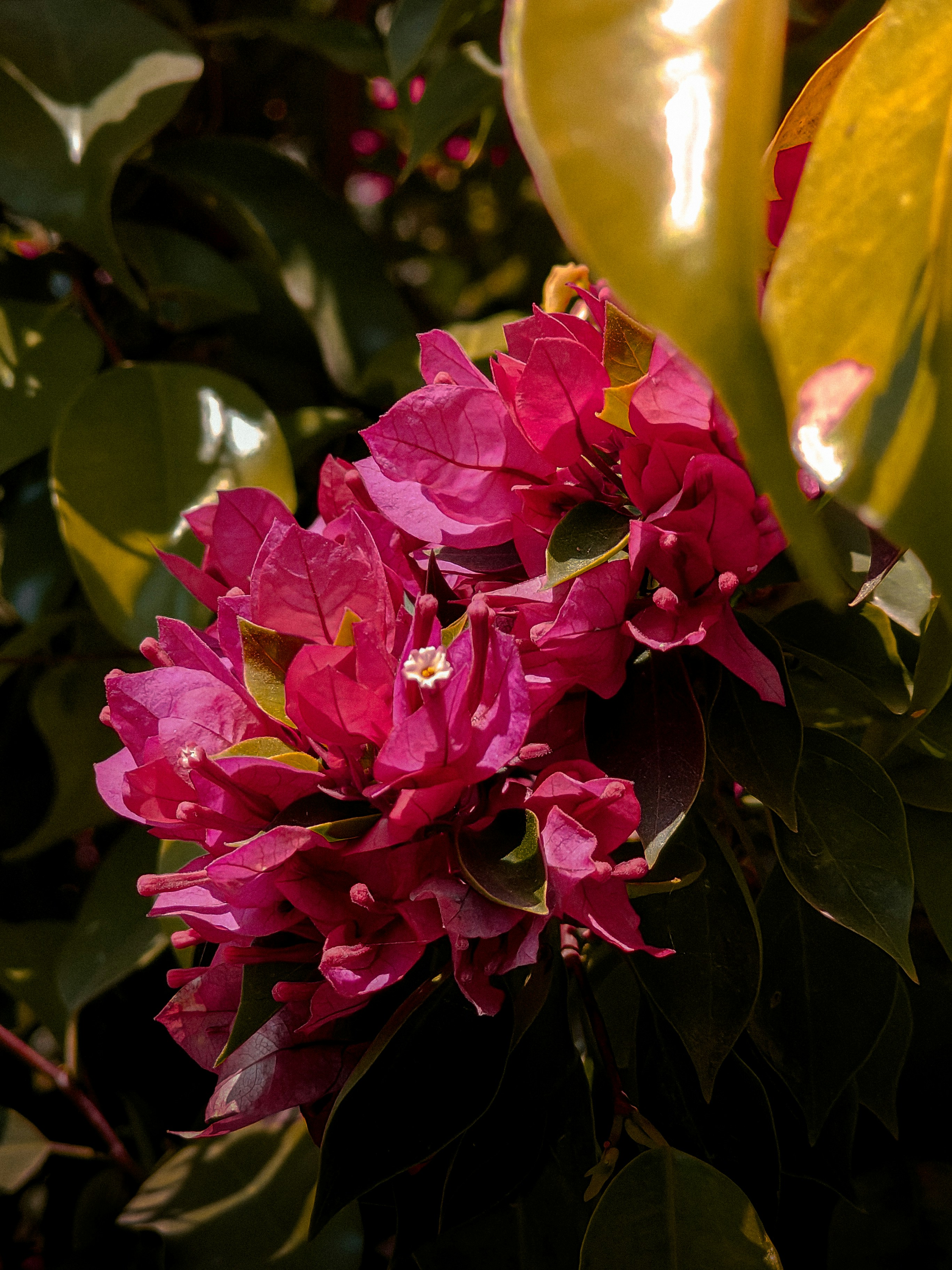 Photo by kampy_verma