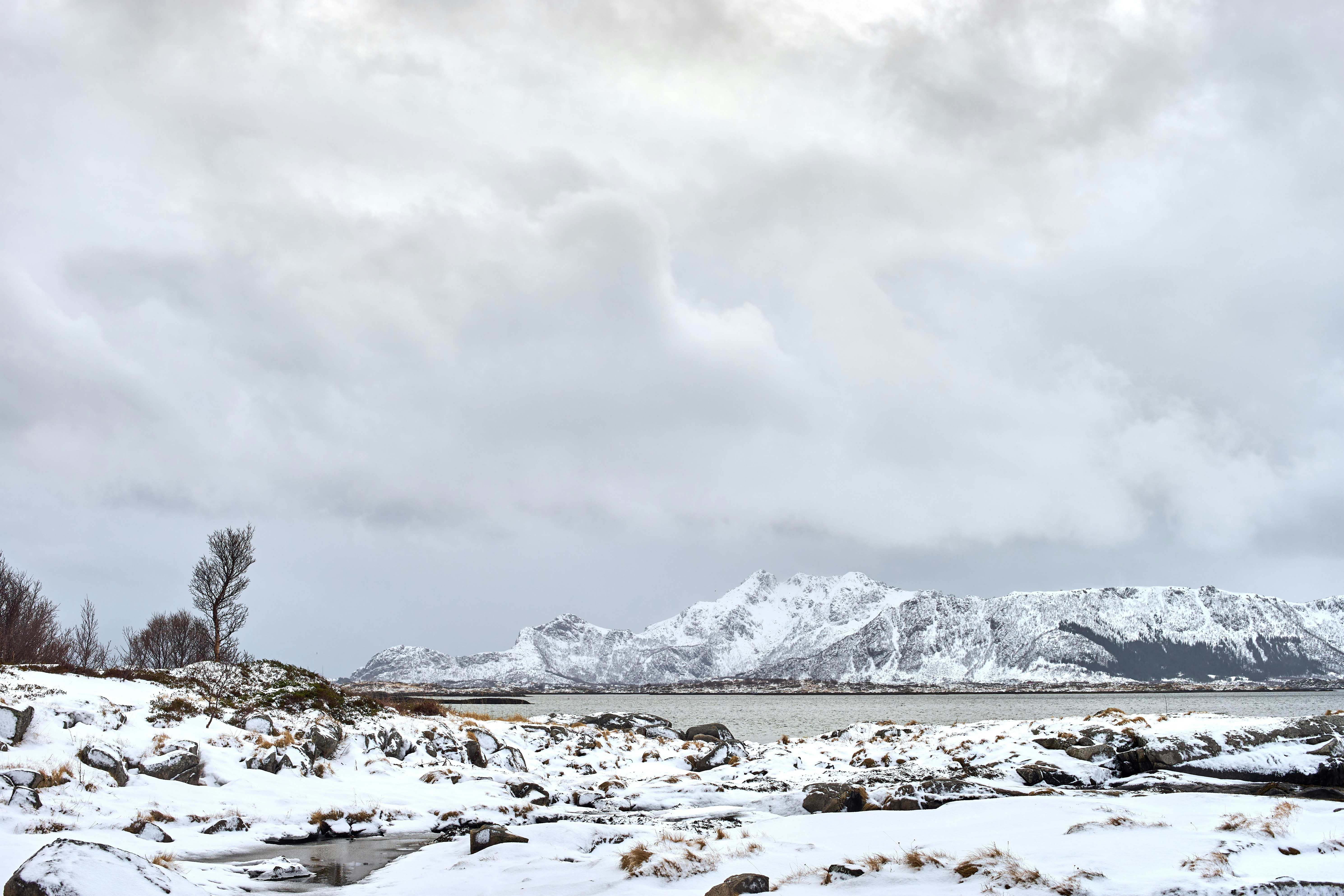 Photo by wolfgang_hasselmann