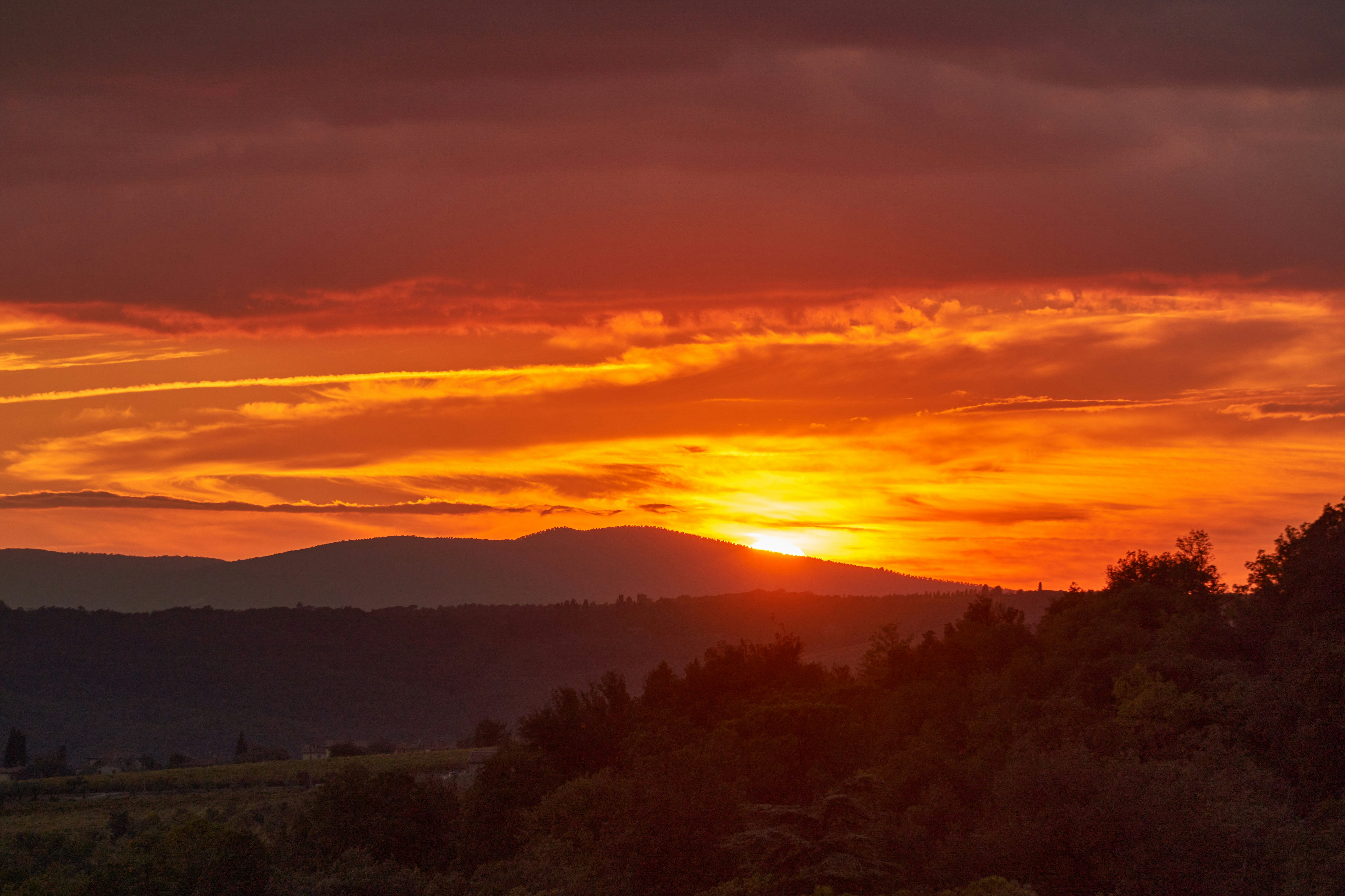 Photo by wolfgang_hasselmann