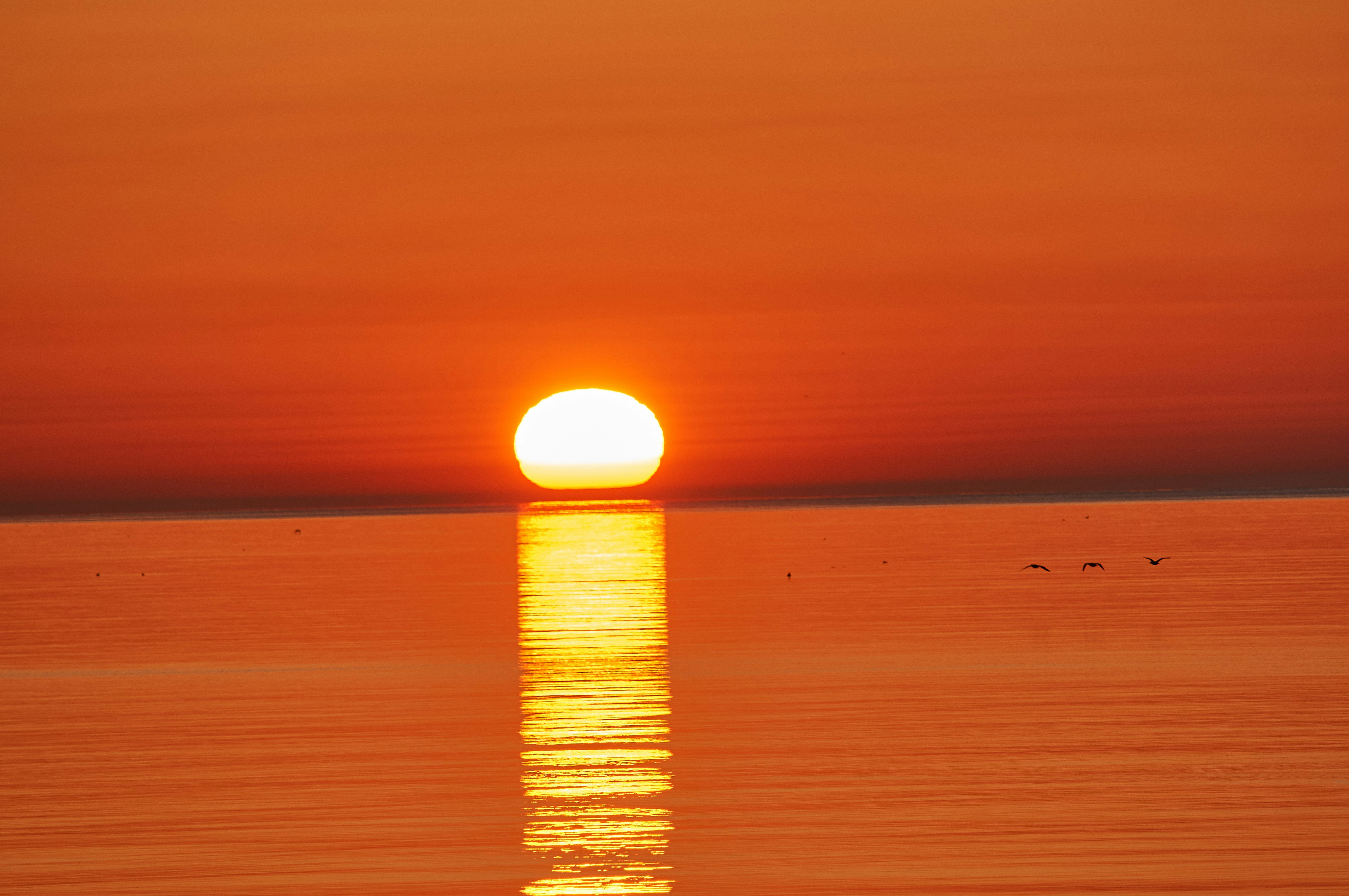 Photo by wolfgang_hasselmann