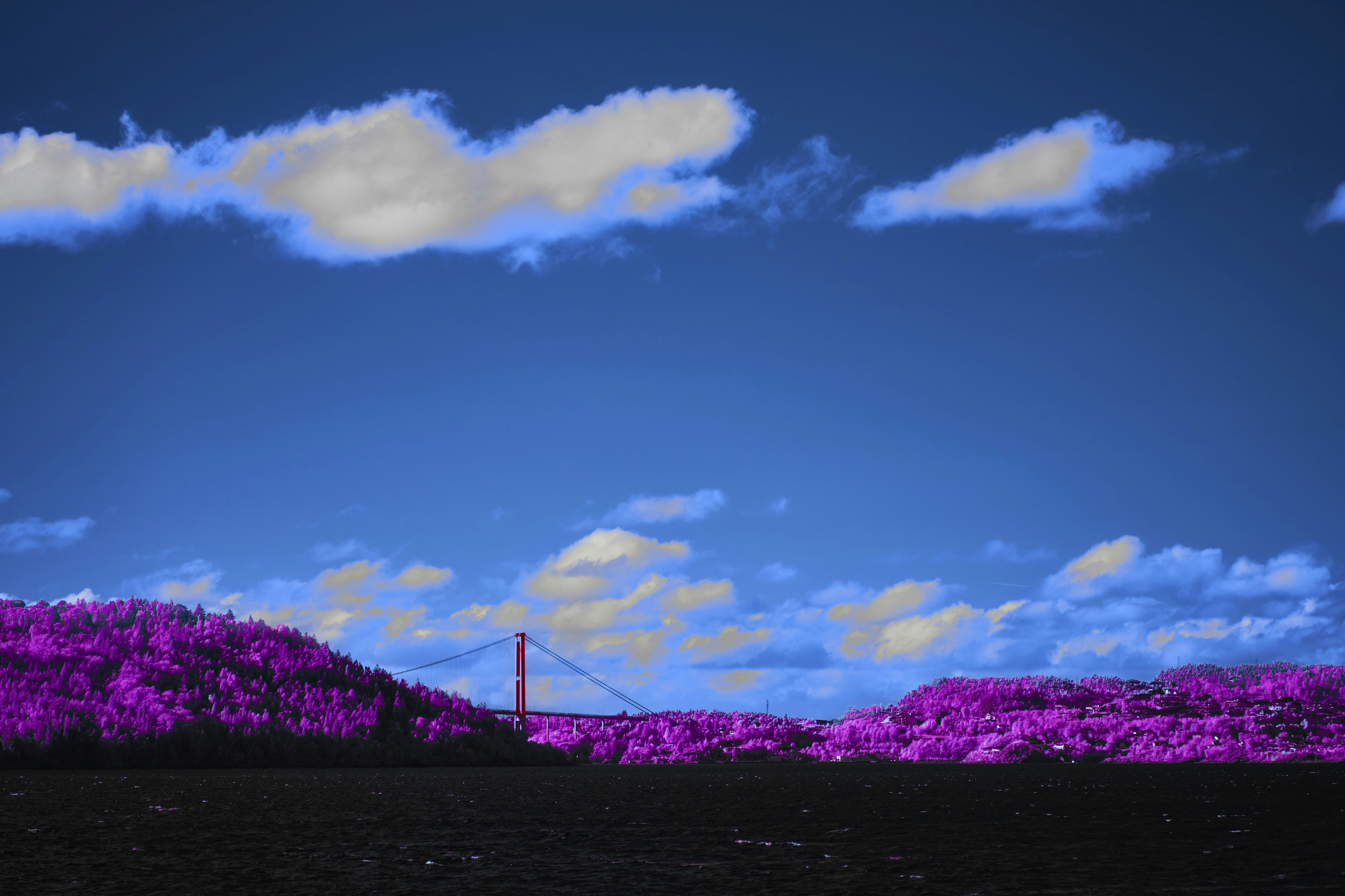 Photo by wolfgang_hasselmann