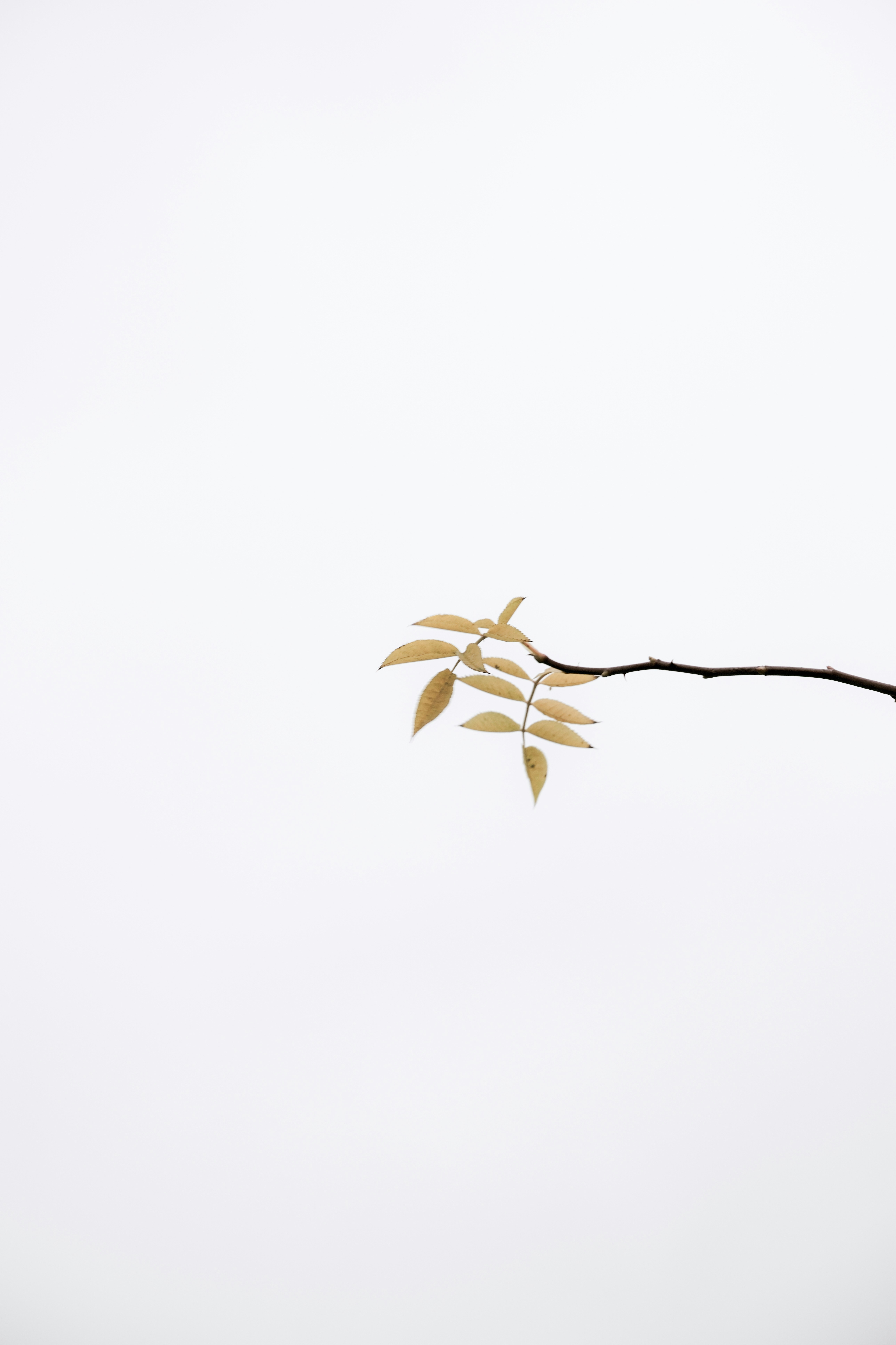 Photo by mehmetdemiral