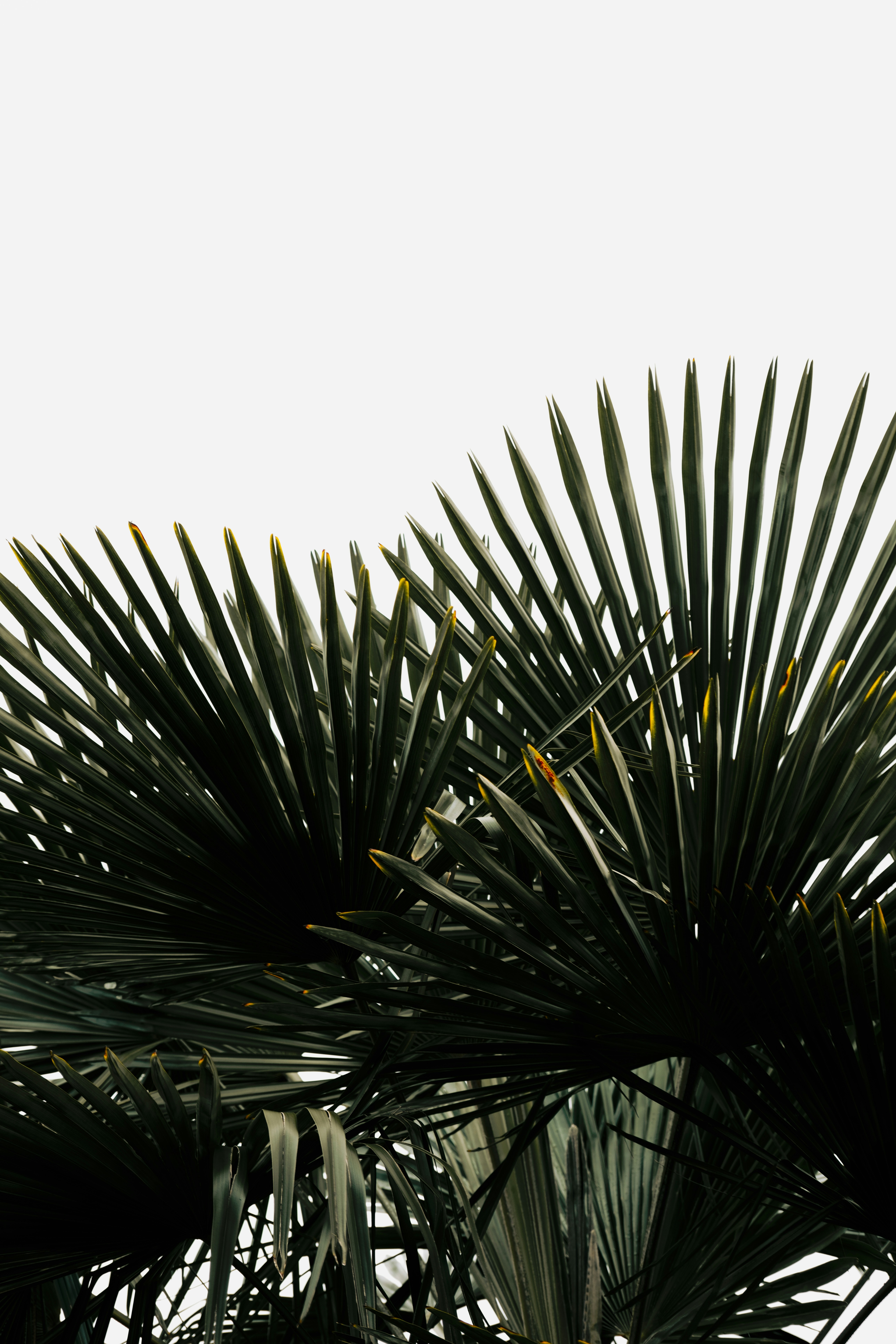 Photo by mehmetdemiral