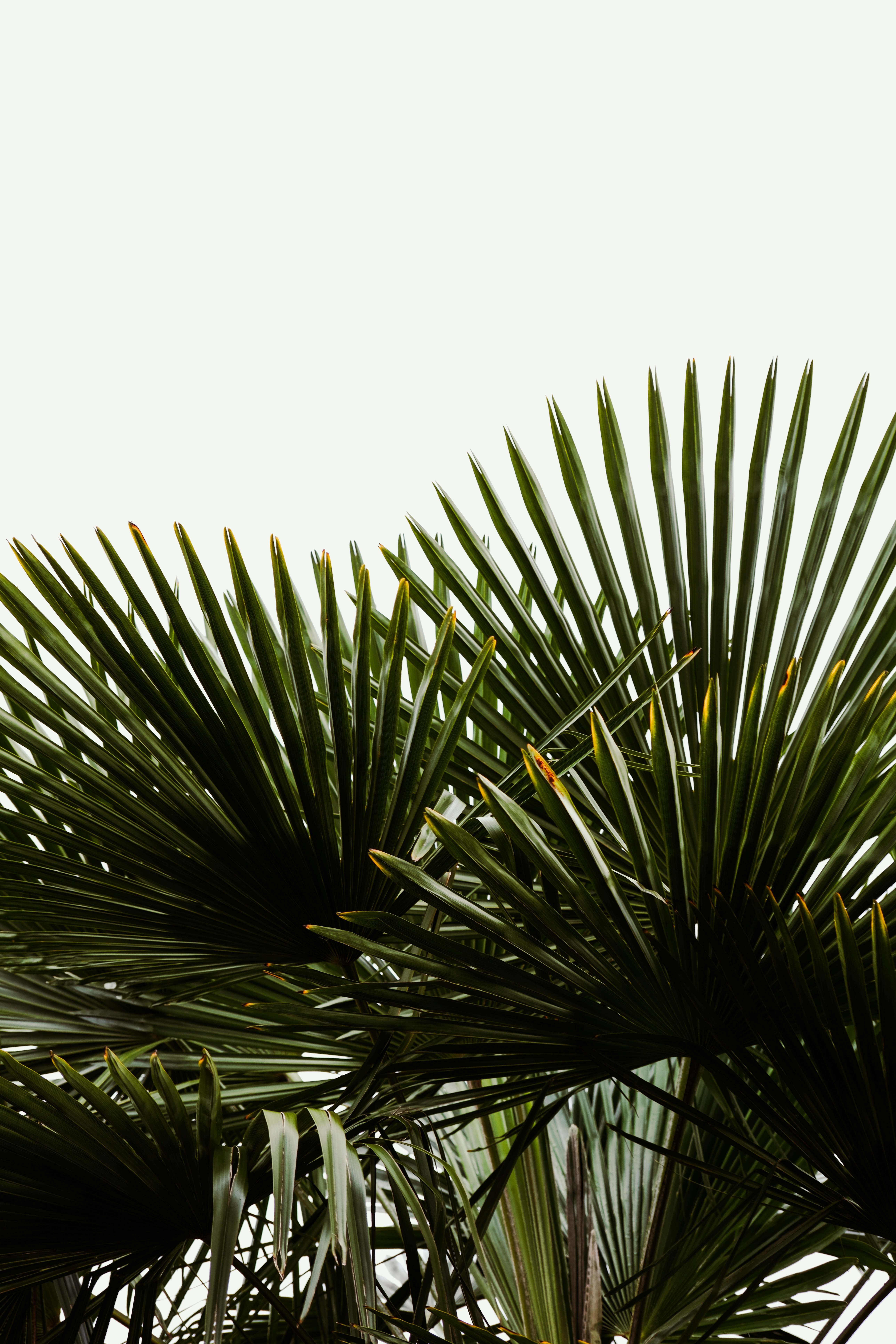 Photo by mehmetdemiral