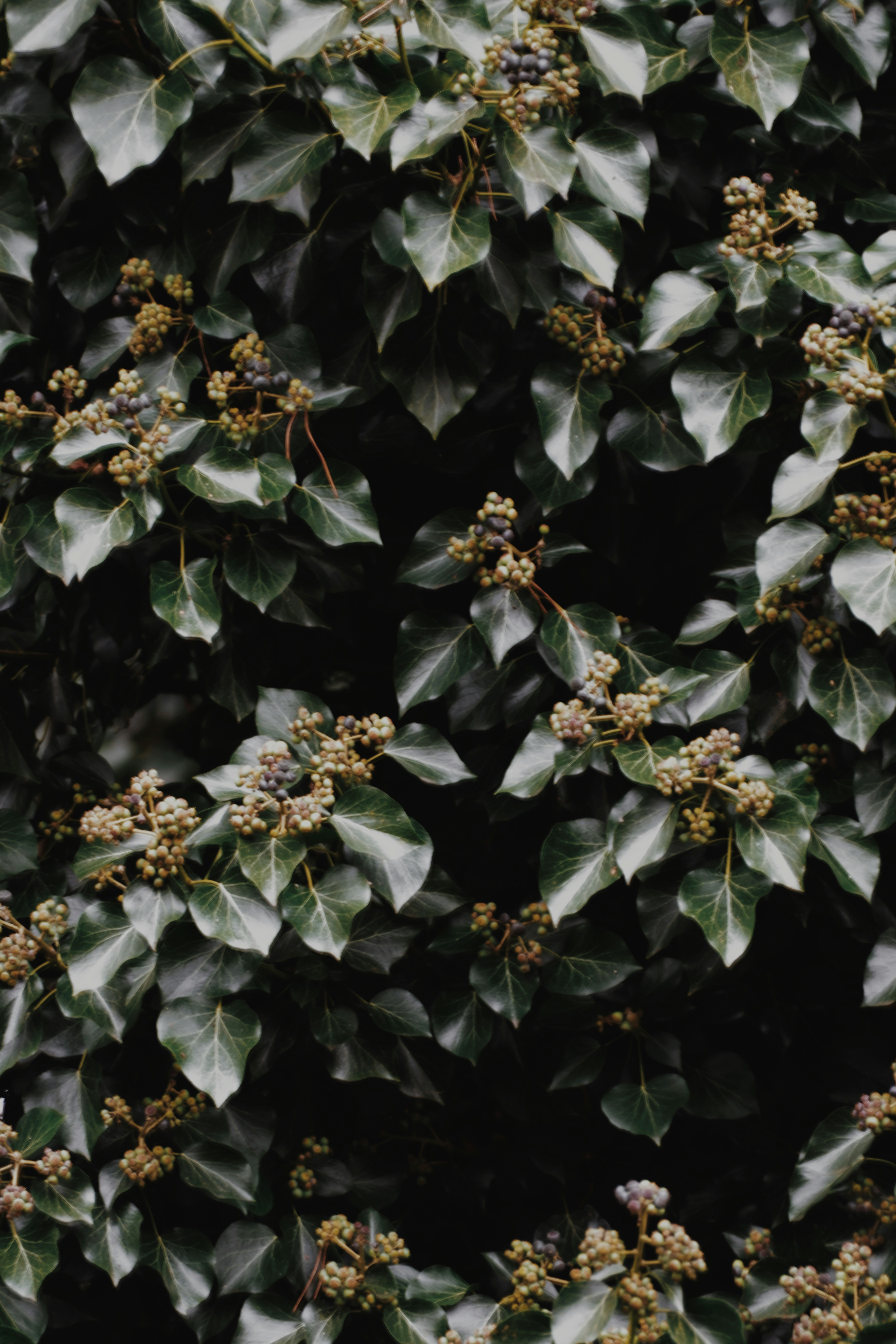 Photo by mehmetdemiral