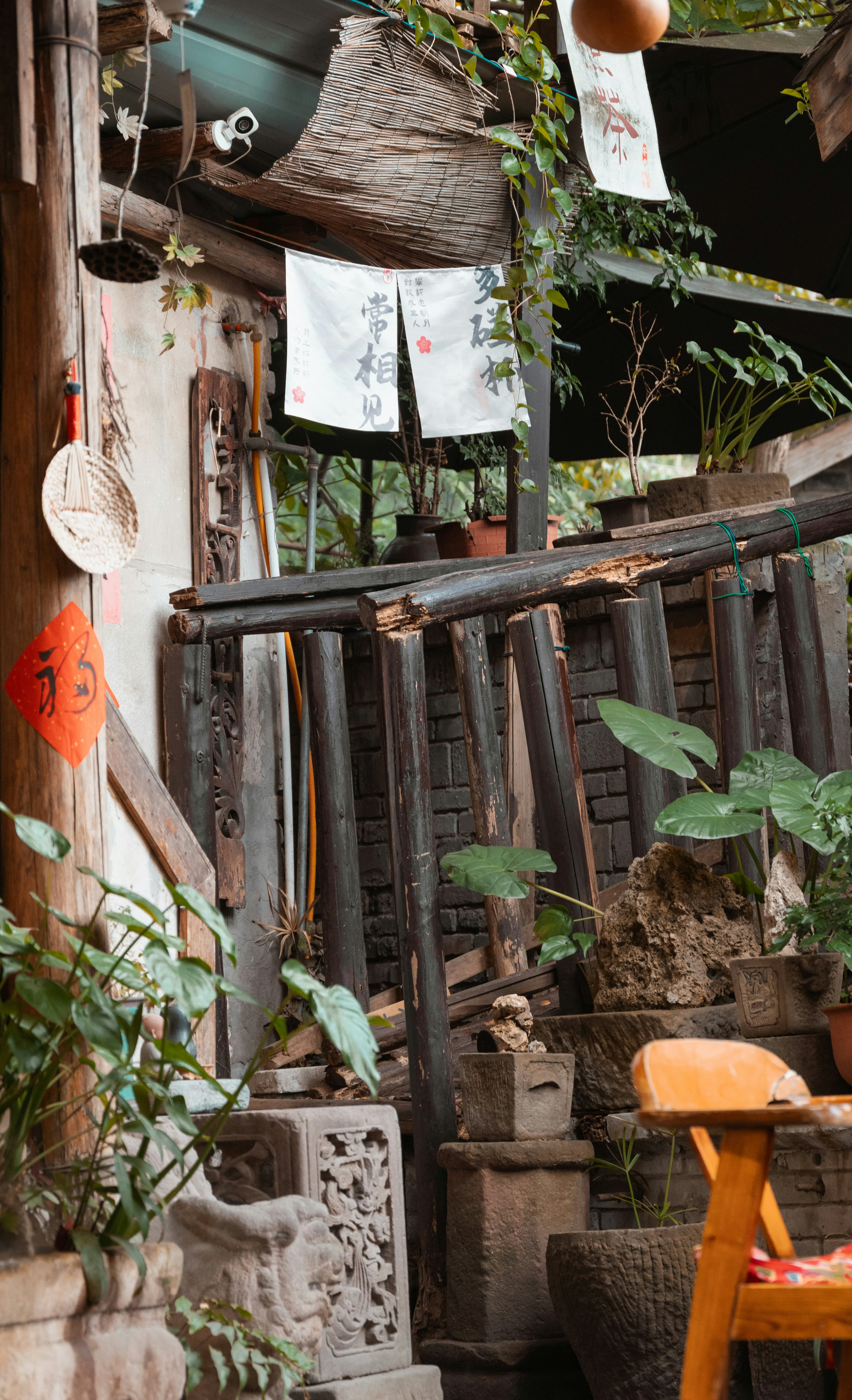 Photo by nikol_royce