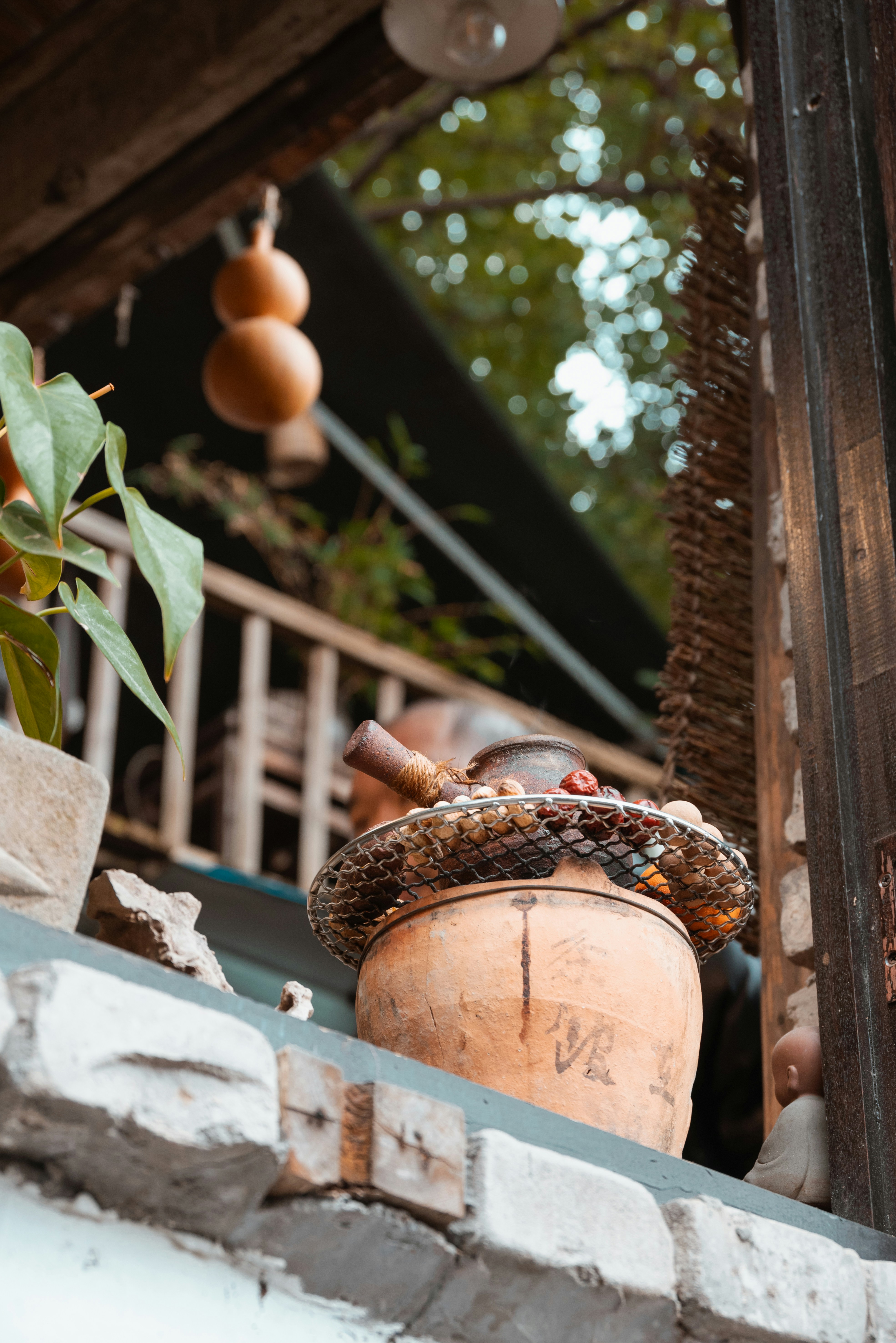 A potted plant sitting on top of a brick wall