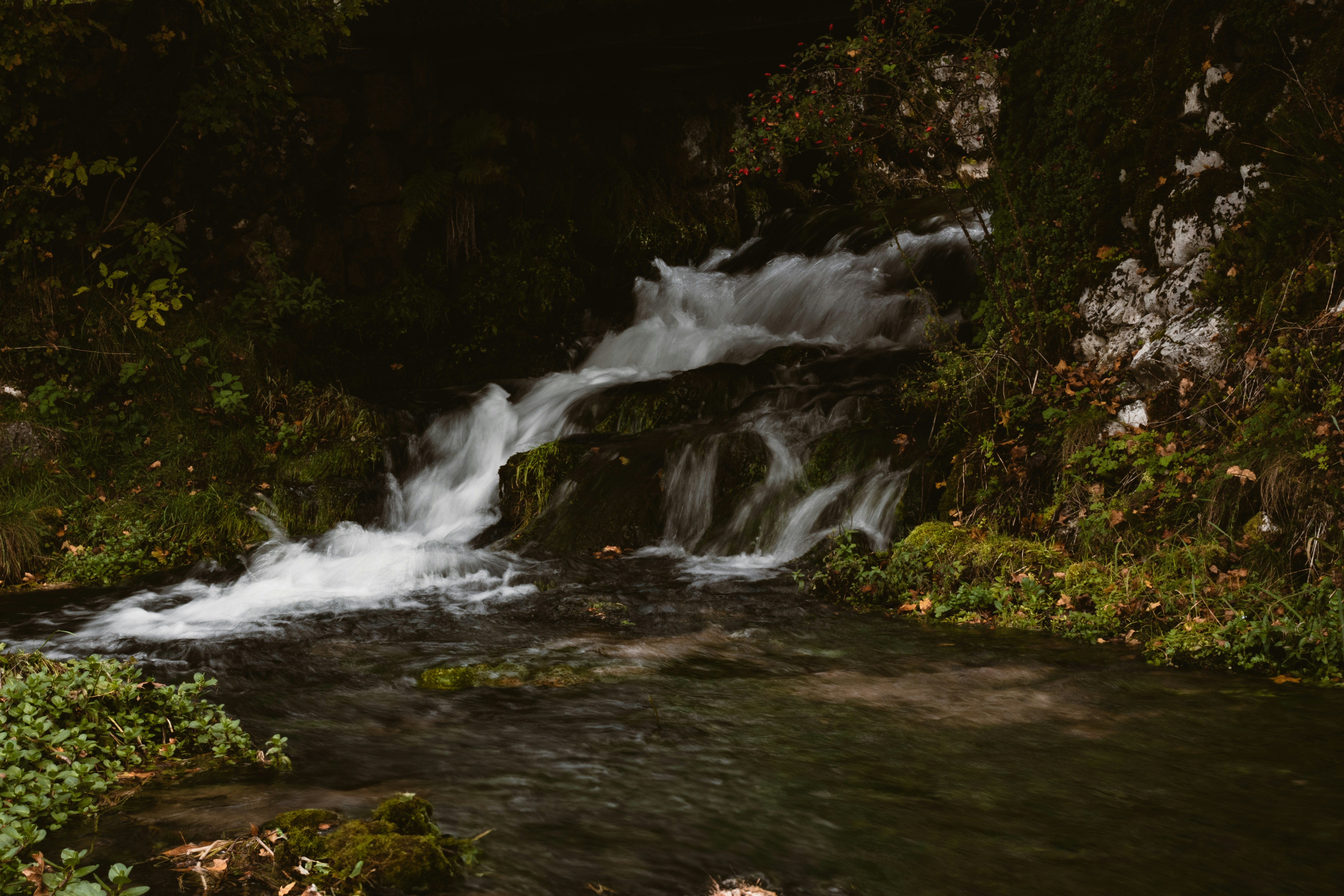 Photo by valentina_grahovac