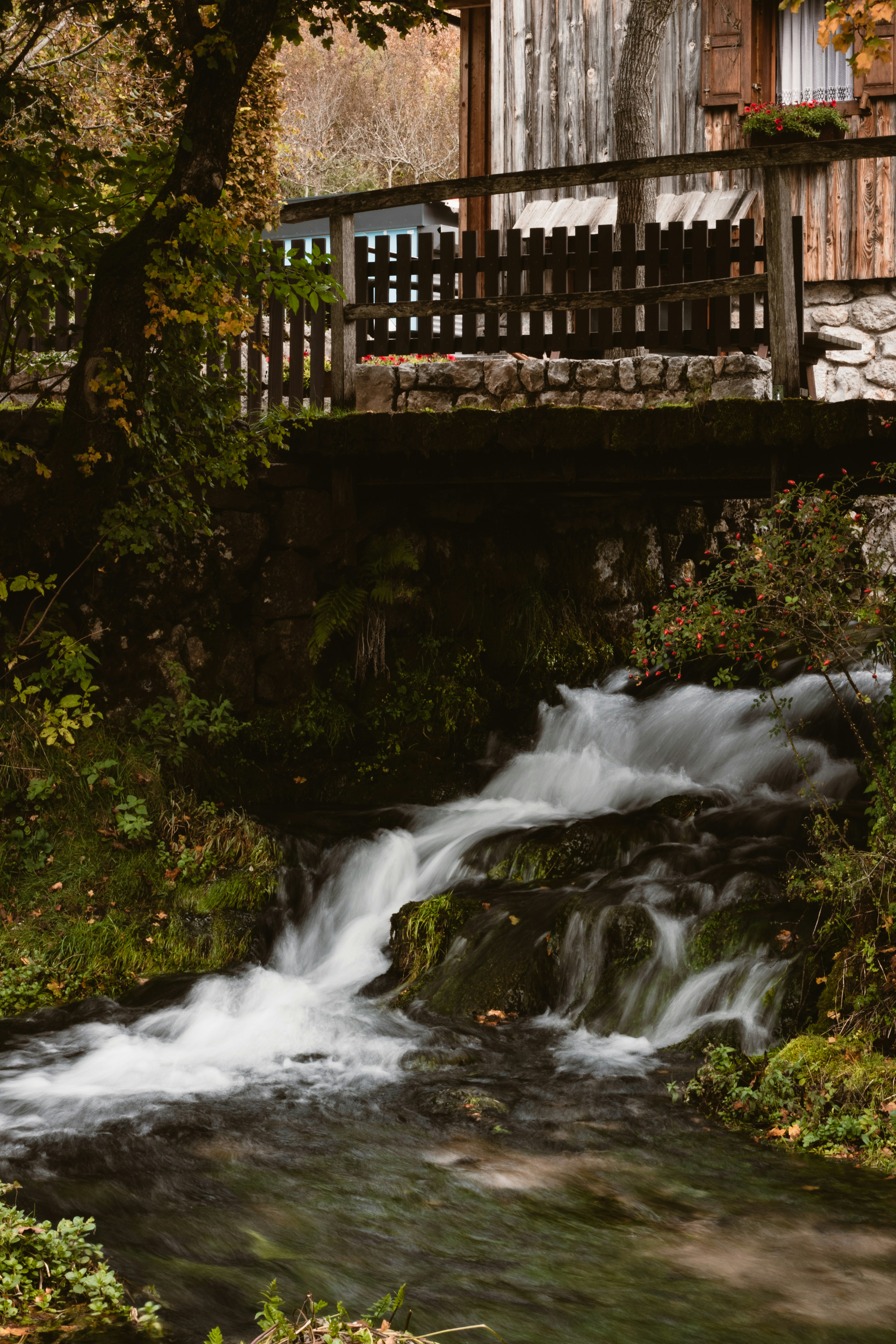 Photo by valentina_grahovac