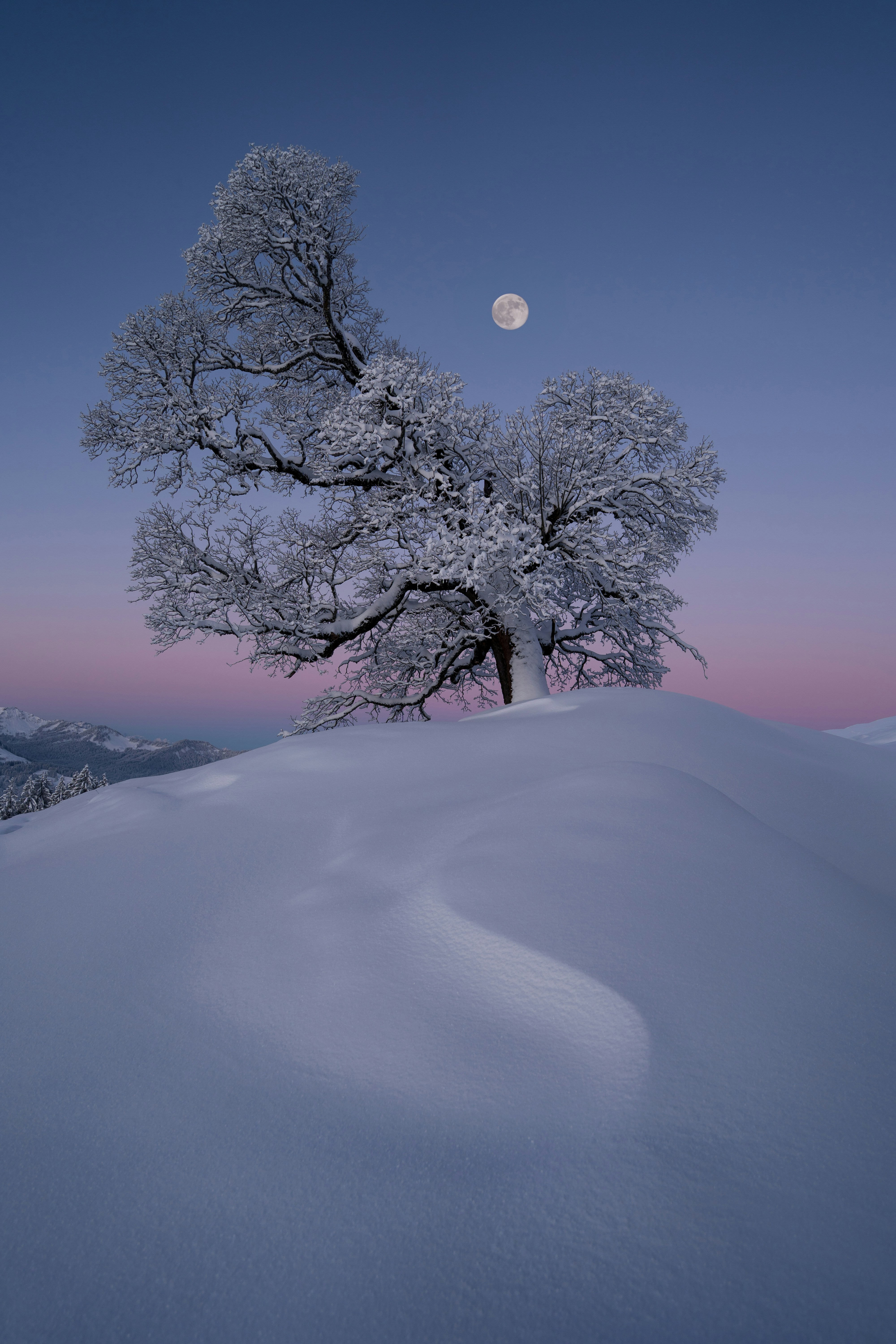 Daily Productive Sharing 1180 - The Economy of the Made