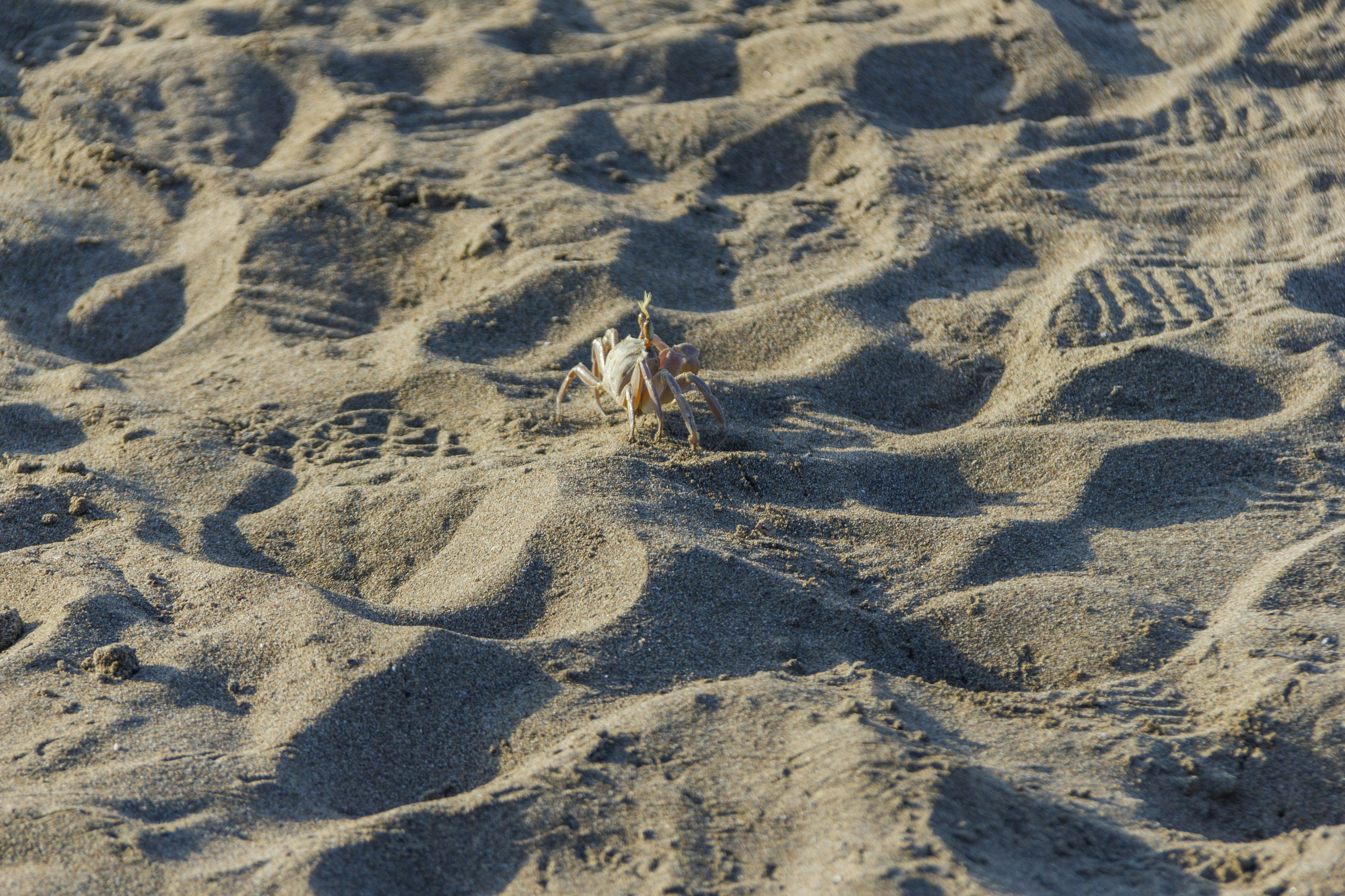 Photo by salty_morning