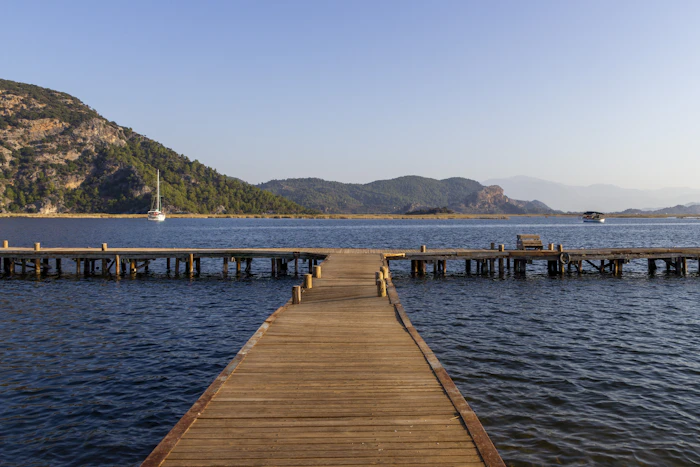 Eco Friendly Resorts