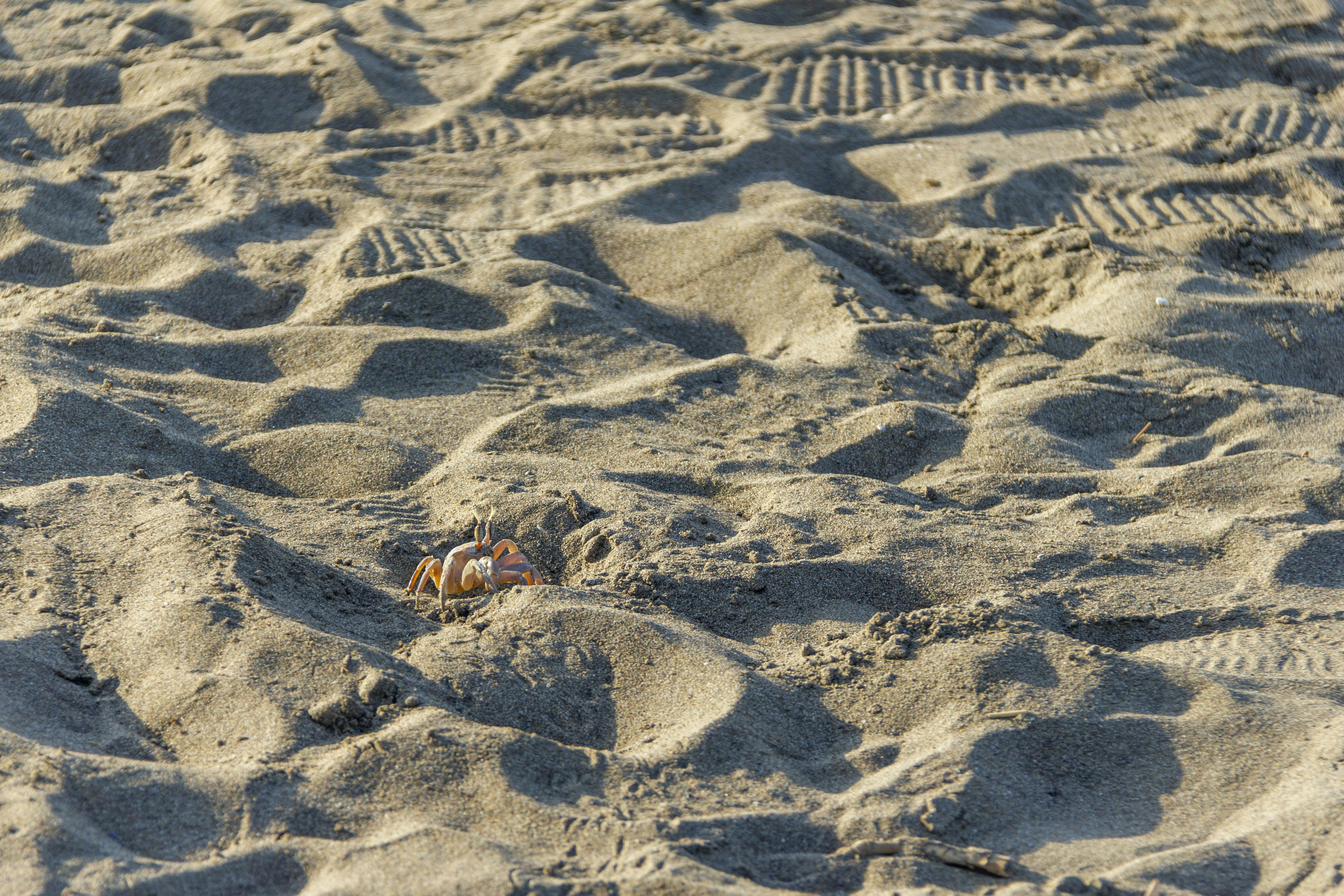 Photo by salty_morning