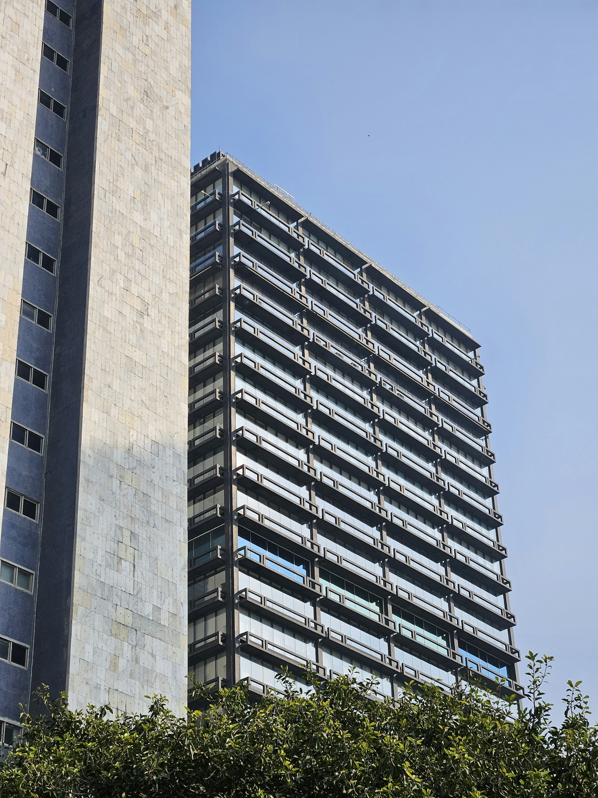 A tall building sitting next to a tall tree