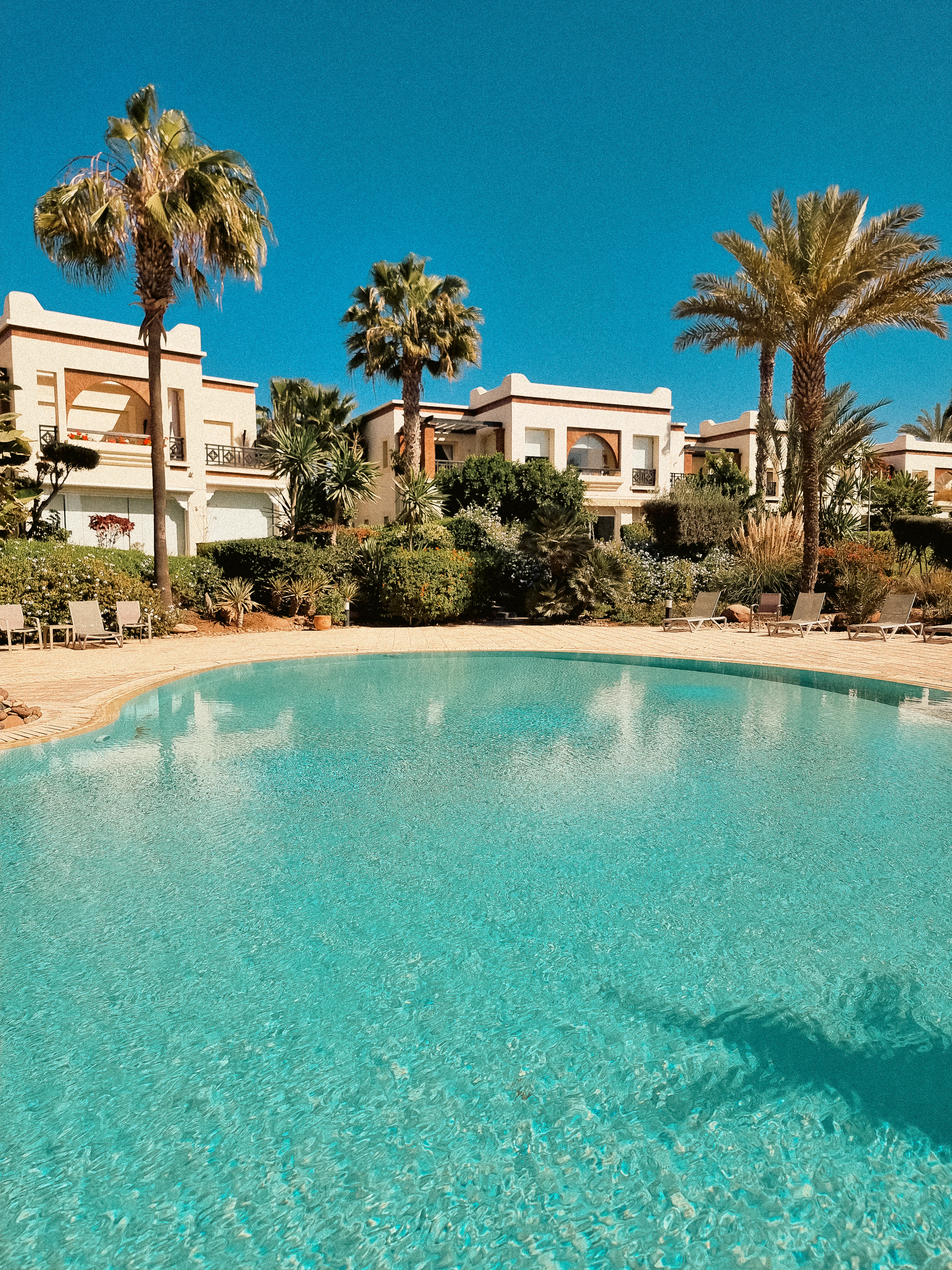 Swimming pool surrounded by palm trees beside villas