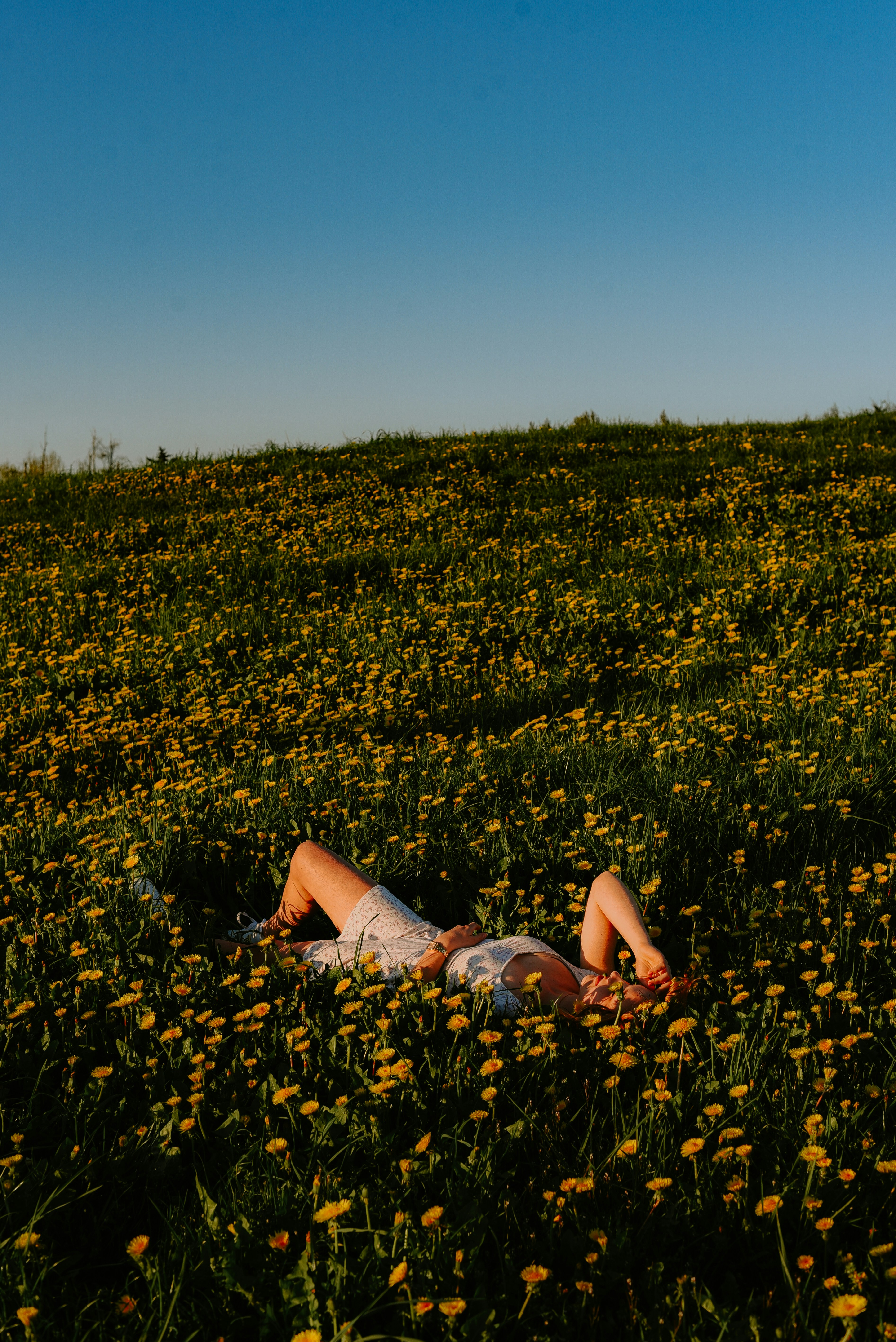 꽃밭에 누워 있는 사람 사진 – Unsplash의 무료 꽃 이미지, image size:3000x4494