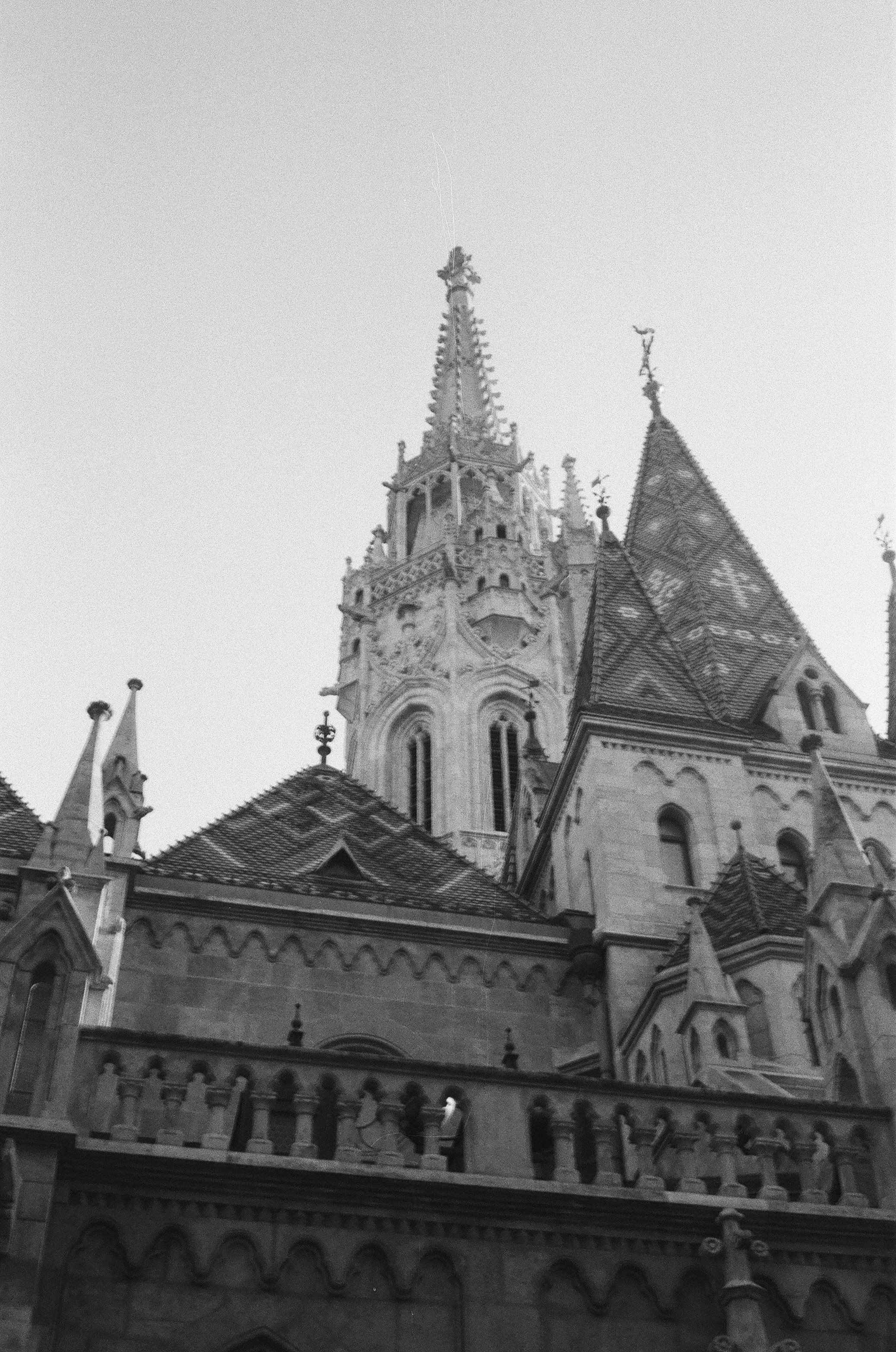 Photo by kornyeir