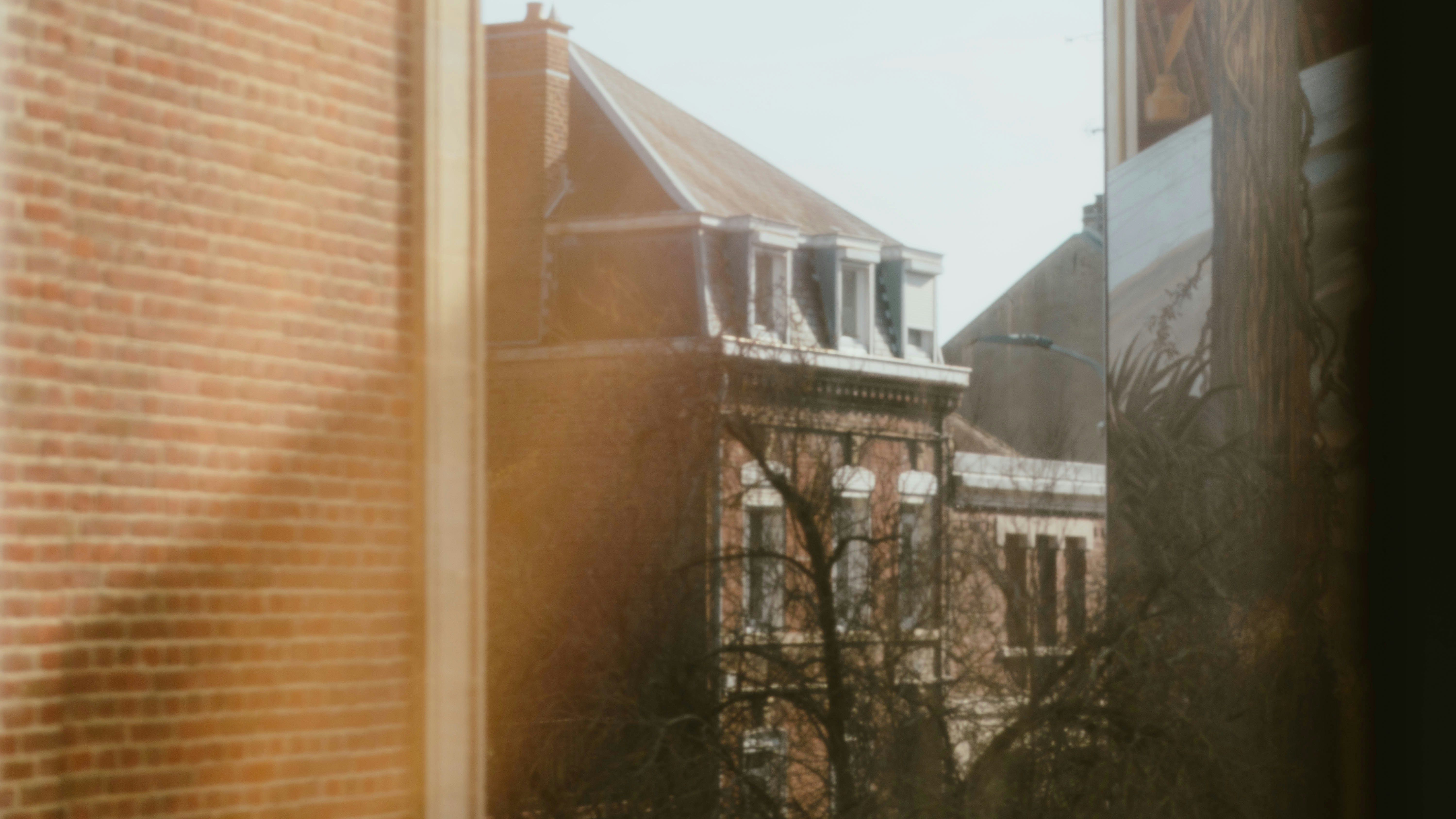 Photo by alingavriliuc