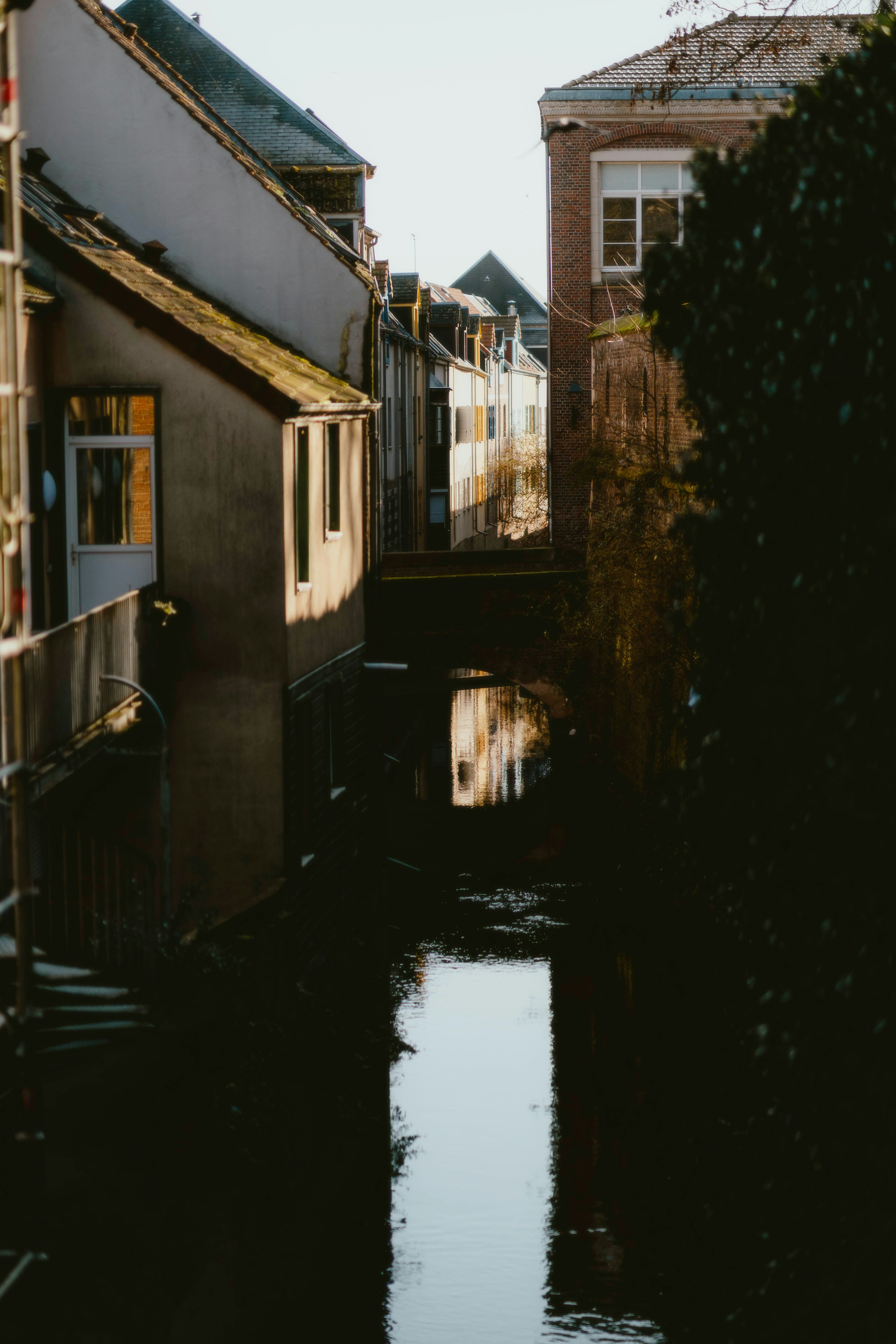 Photo by alingavriliuc