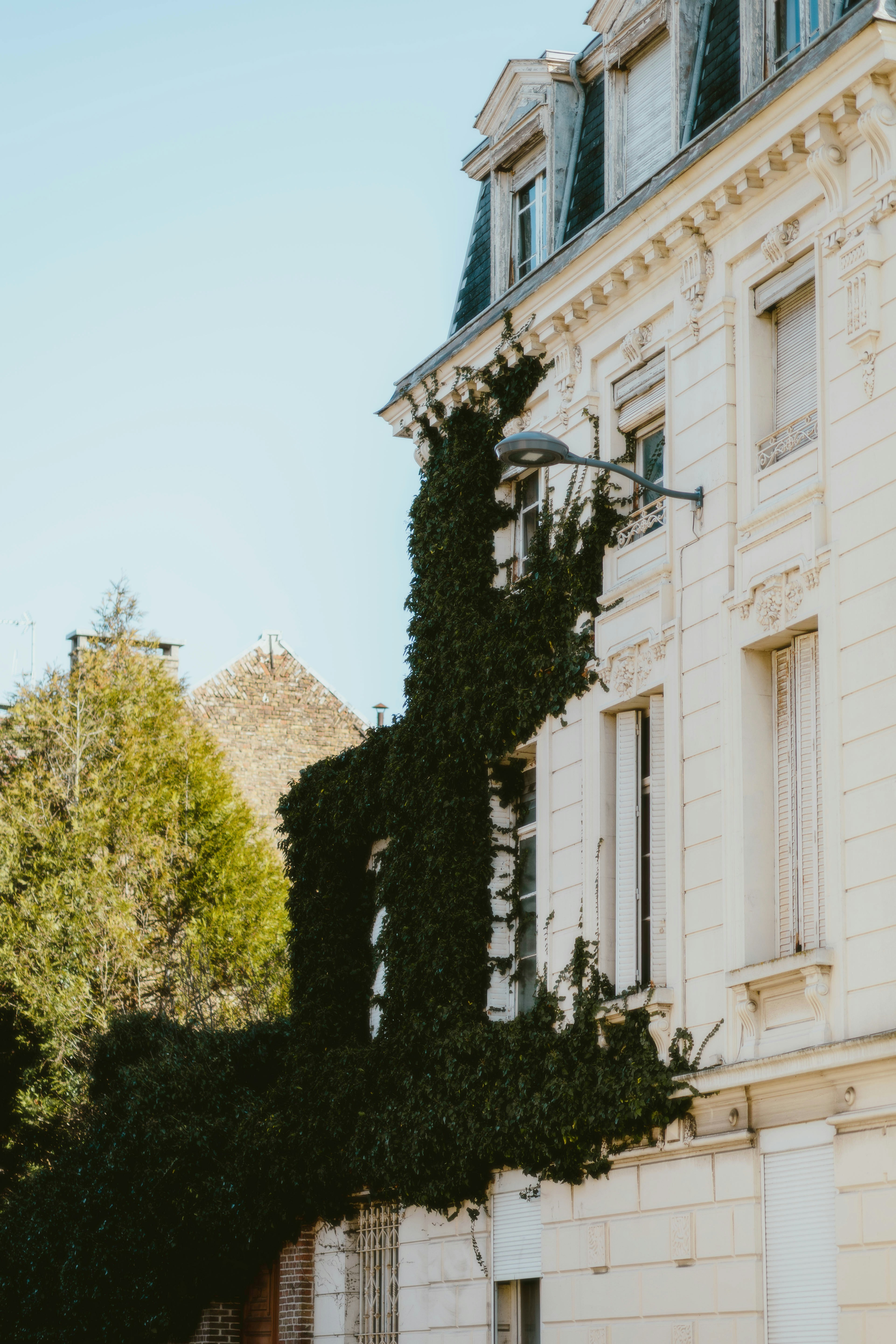 Photo by alingavriliuc