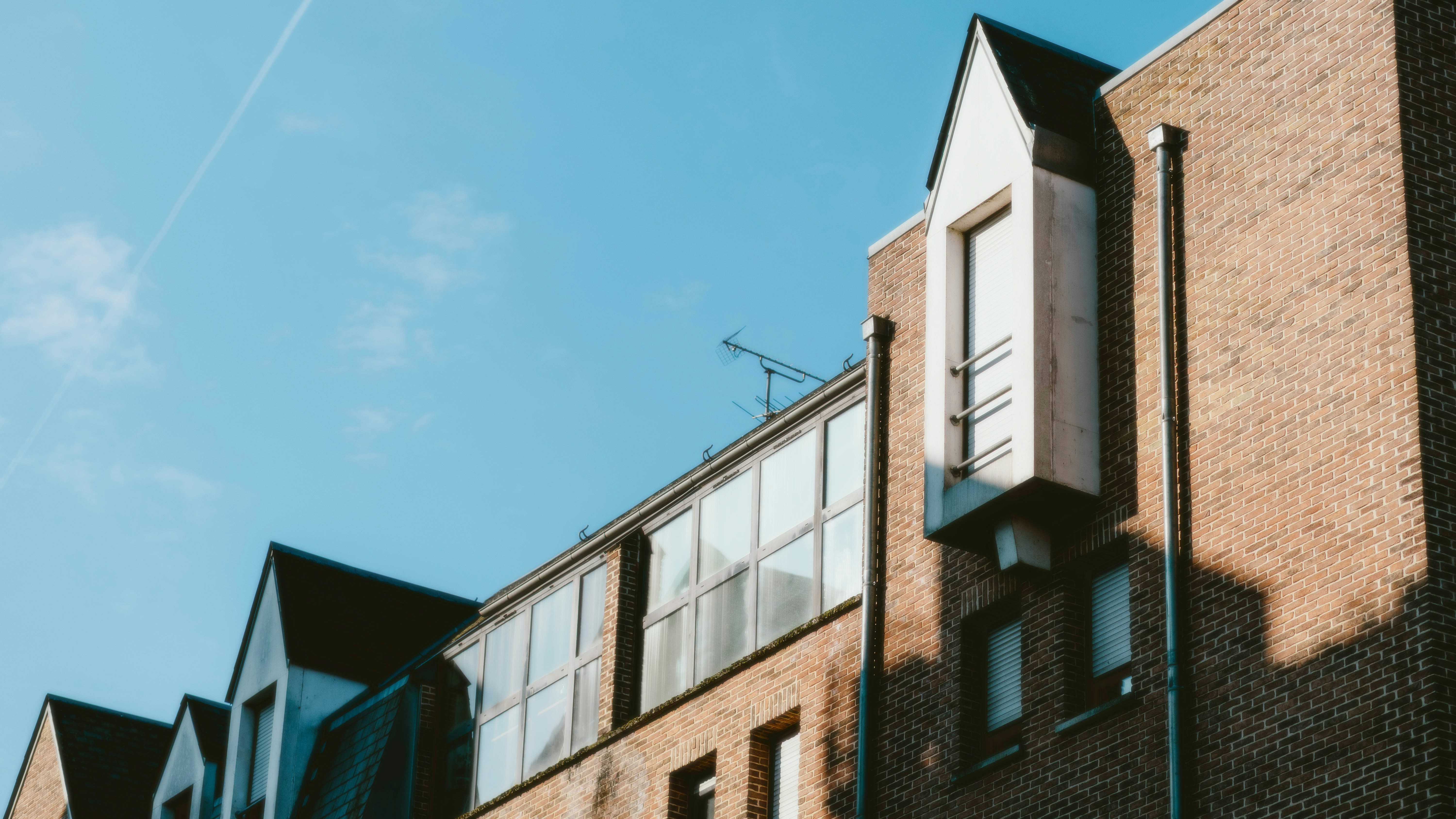 Photo by alingavriliuc