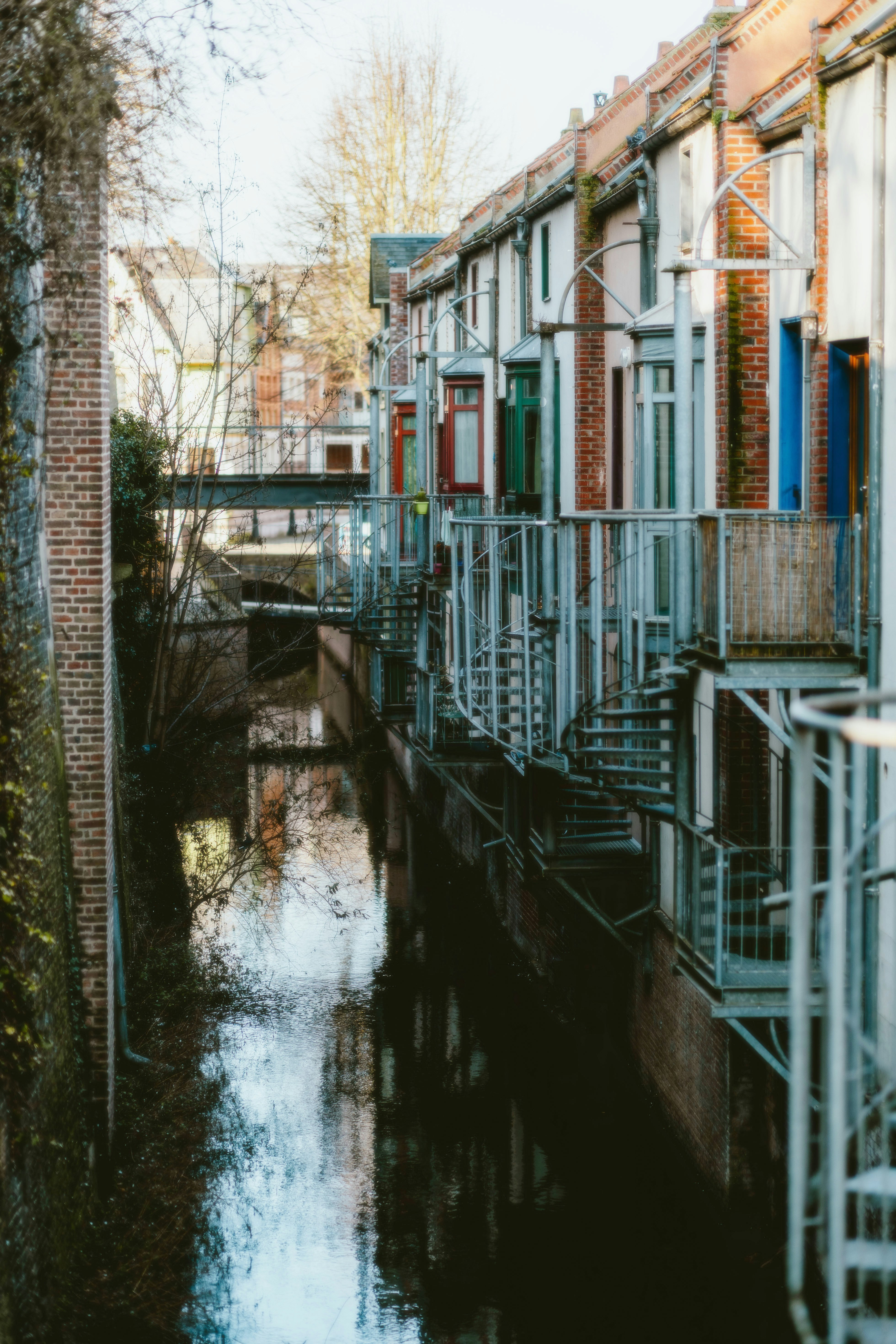 Photo by alingavriliuc