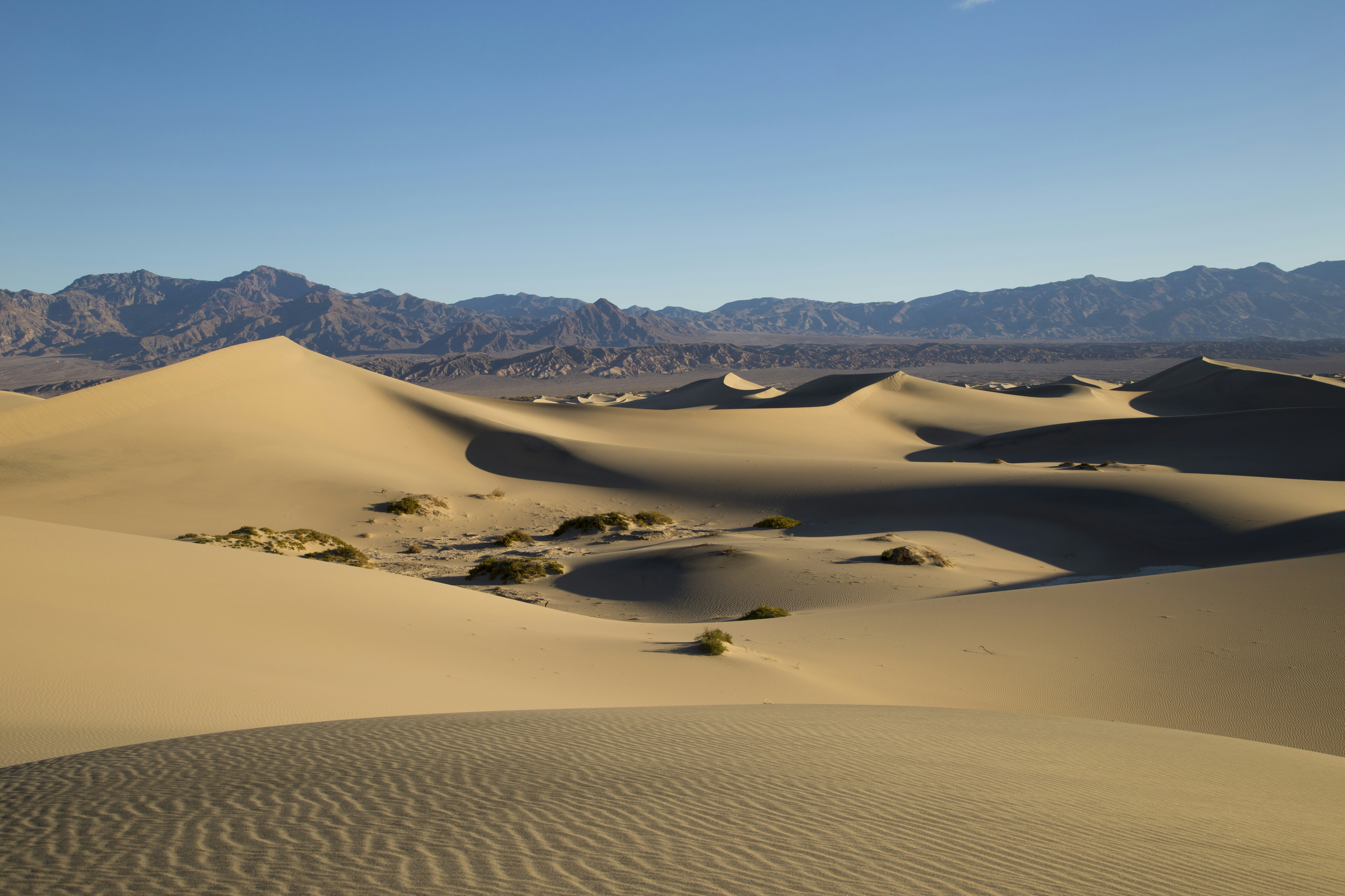 Photo by depthgraphy