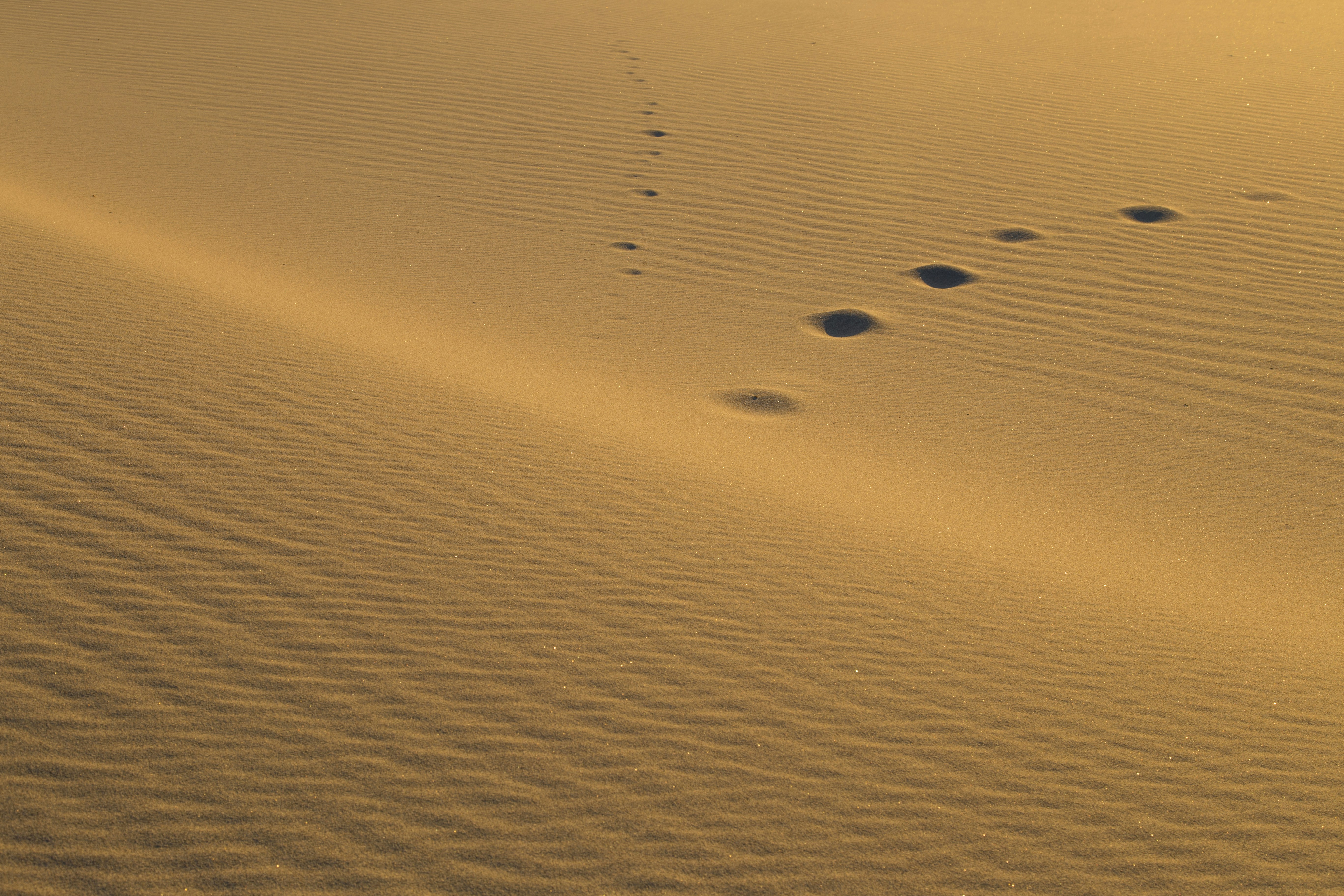 Photo by depthgraphy