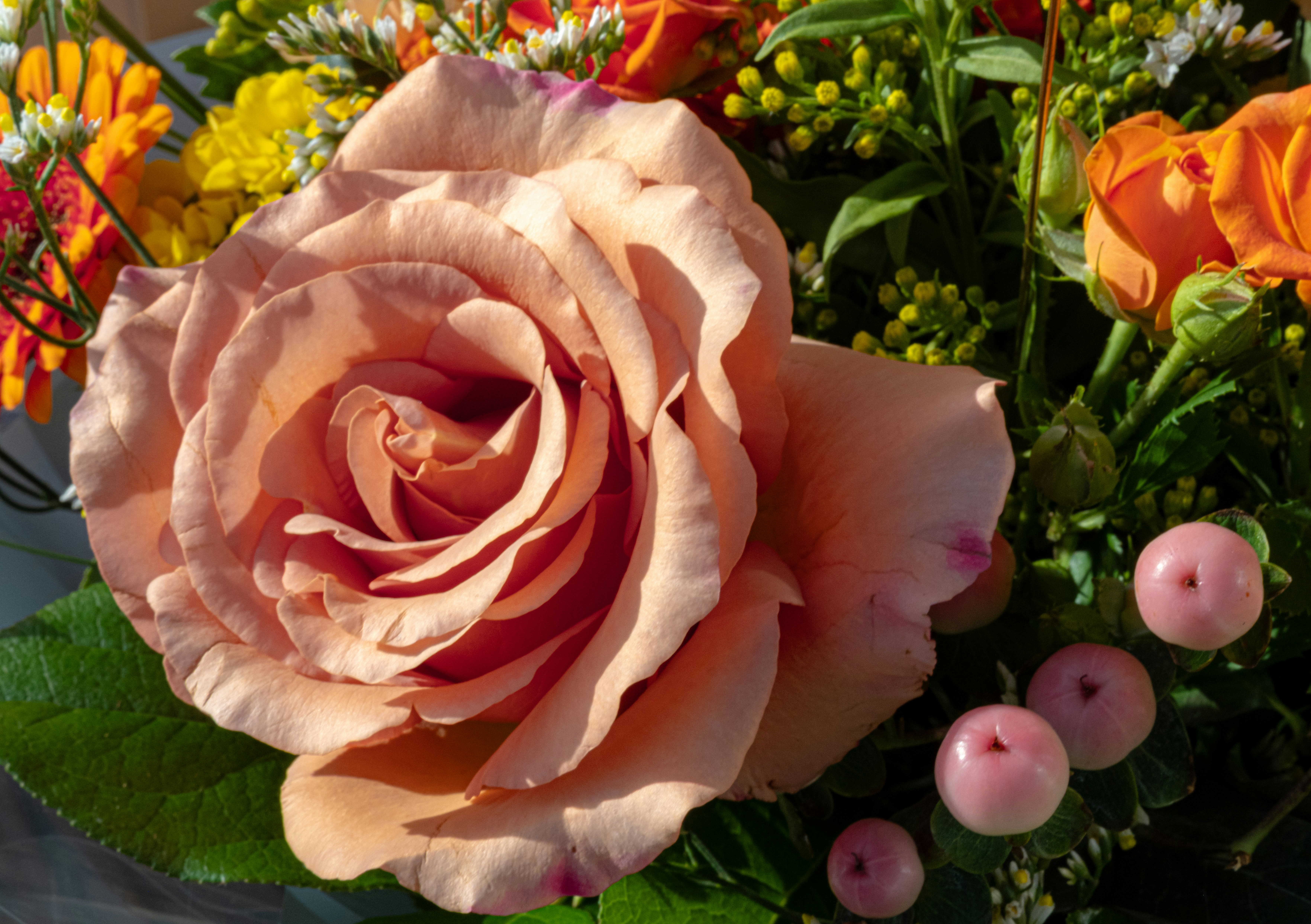 Photo by dankestsunny