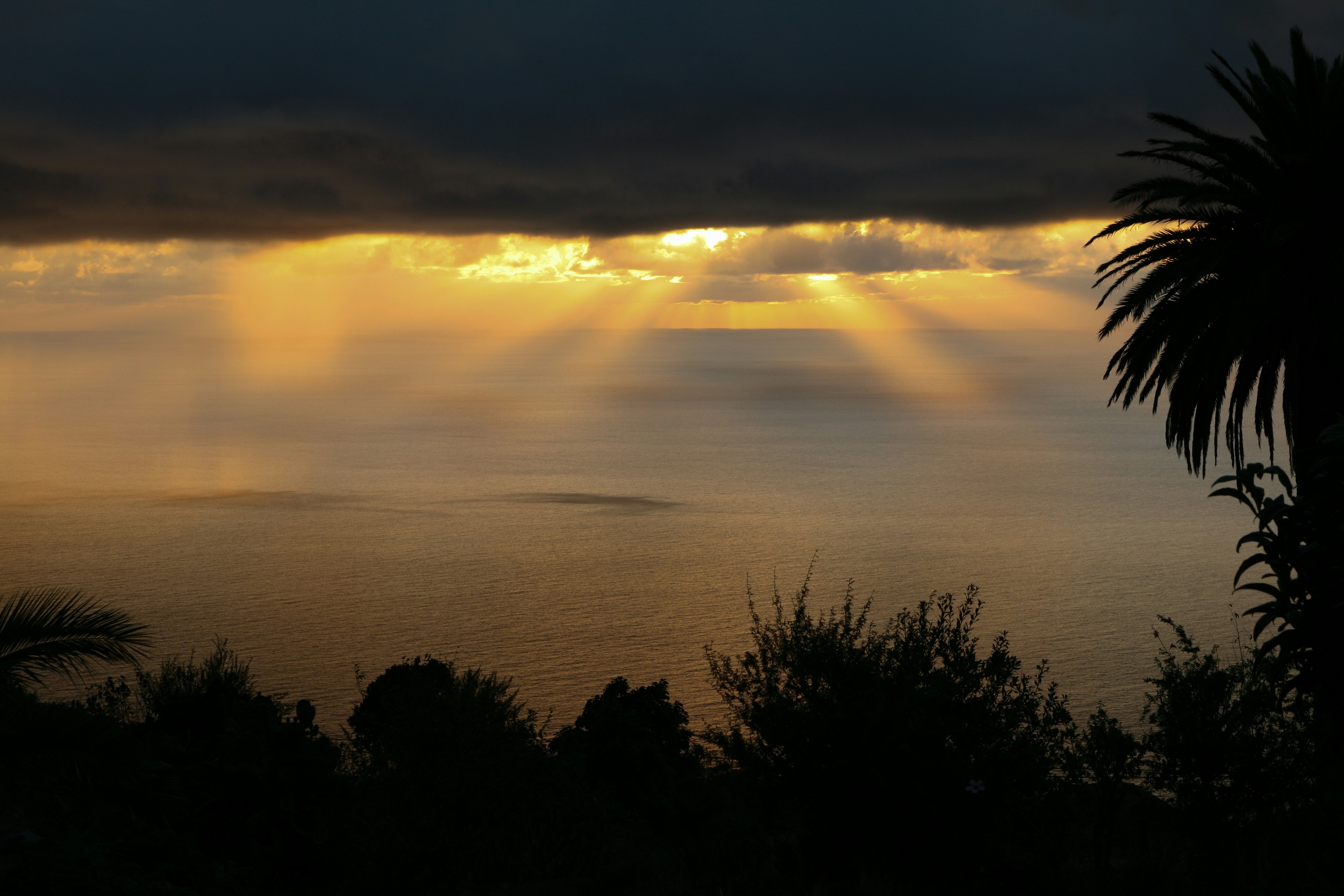 Photo by palepinkgreen