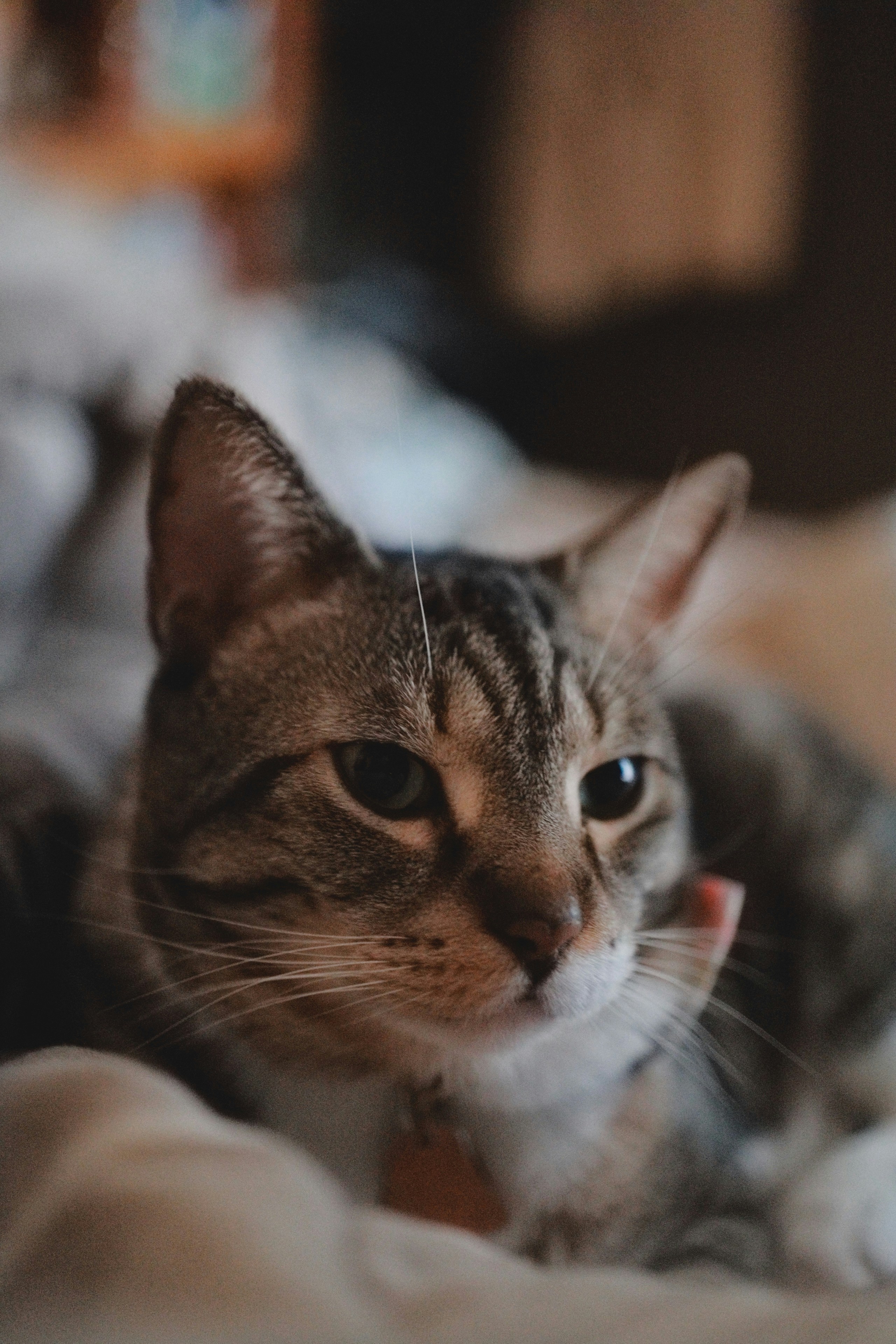 Photo by infoxicated