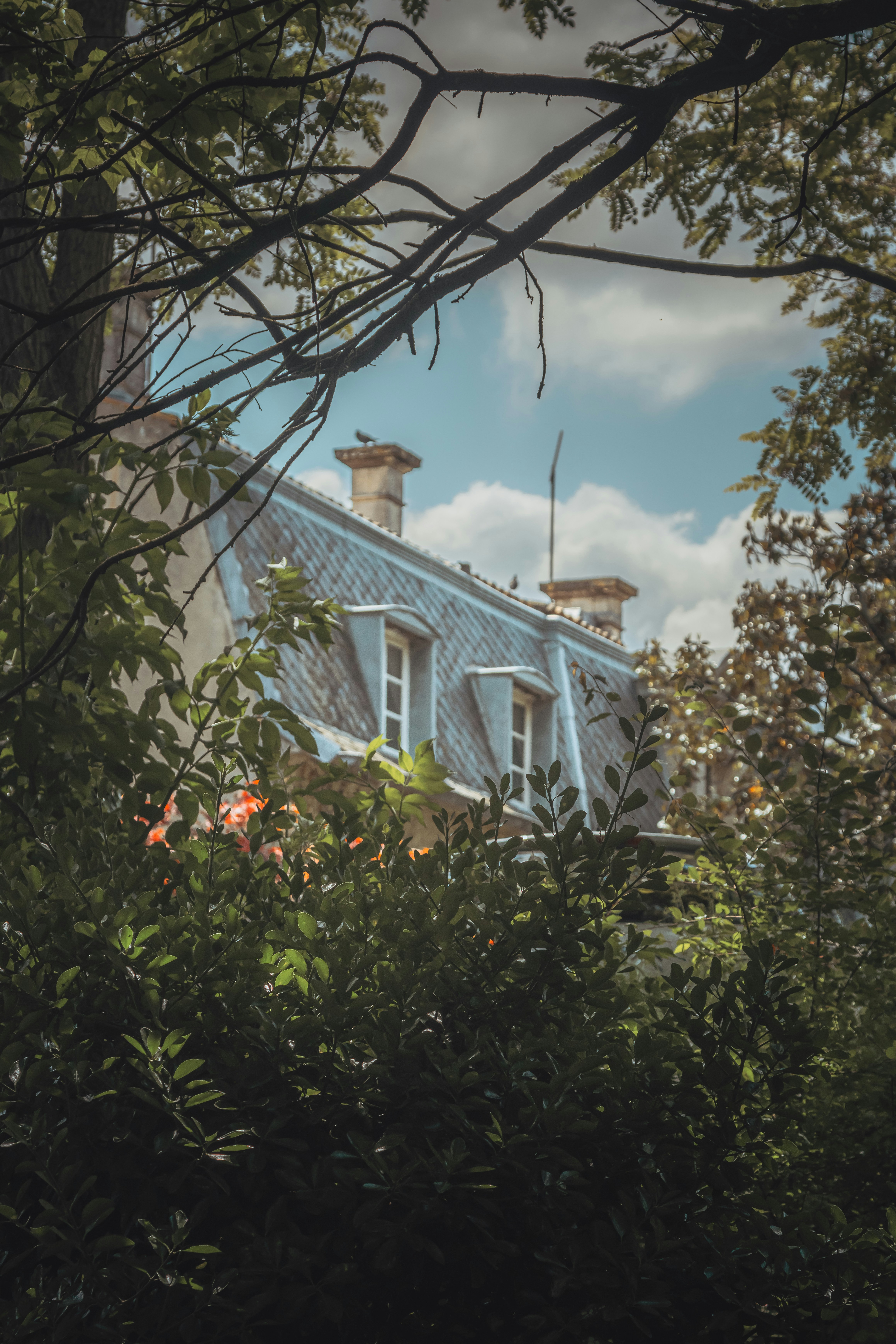 Photo by its_not_titi