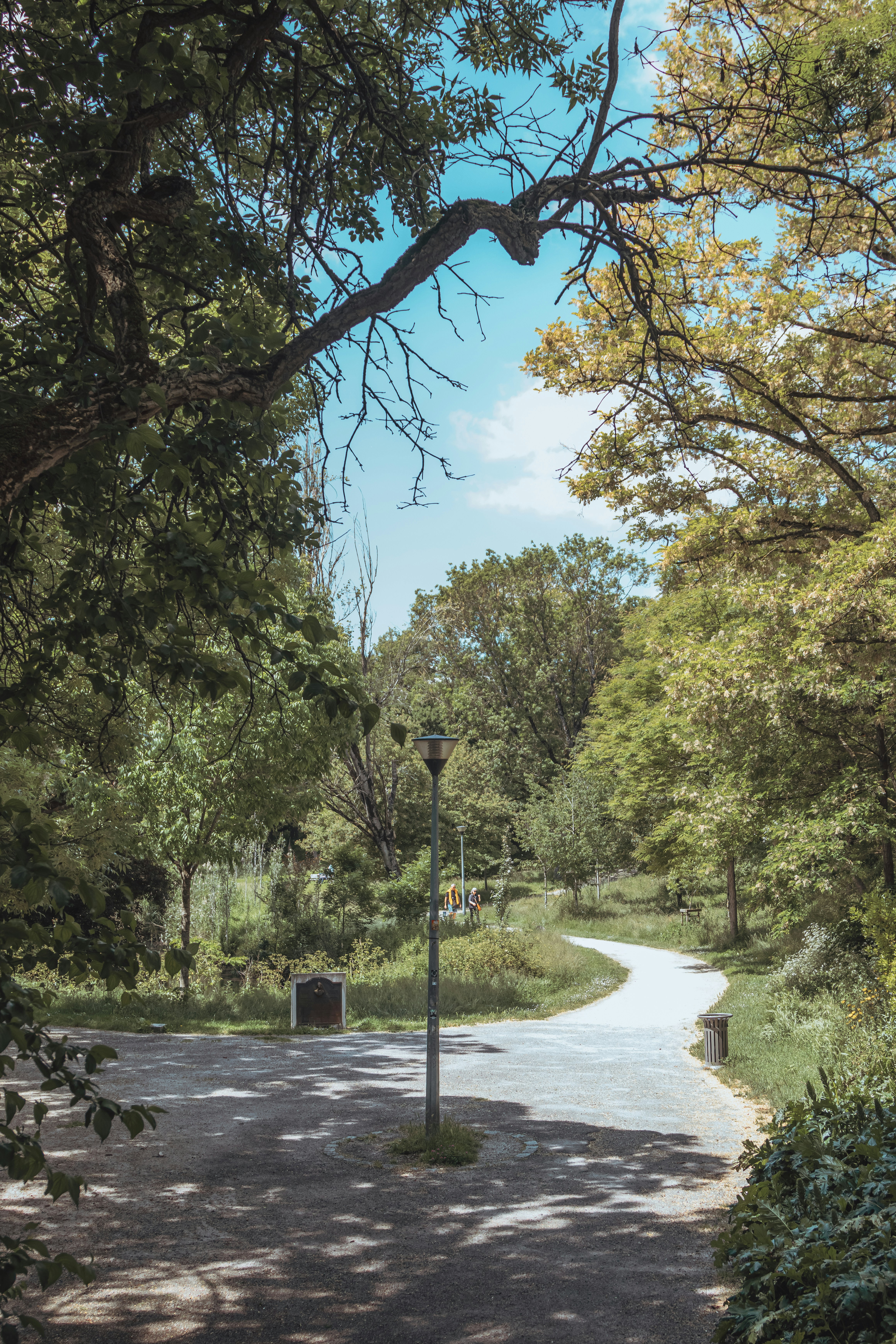 Photo by its_not_titi