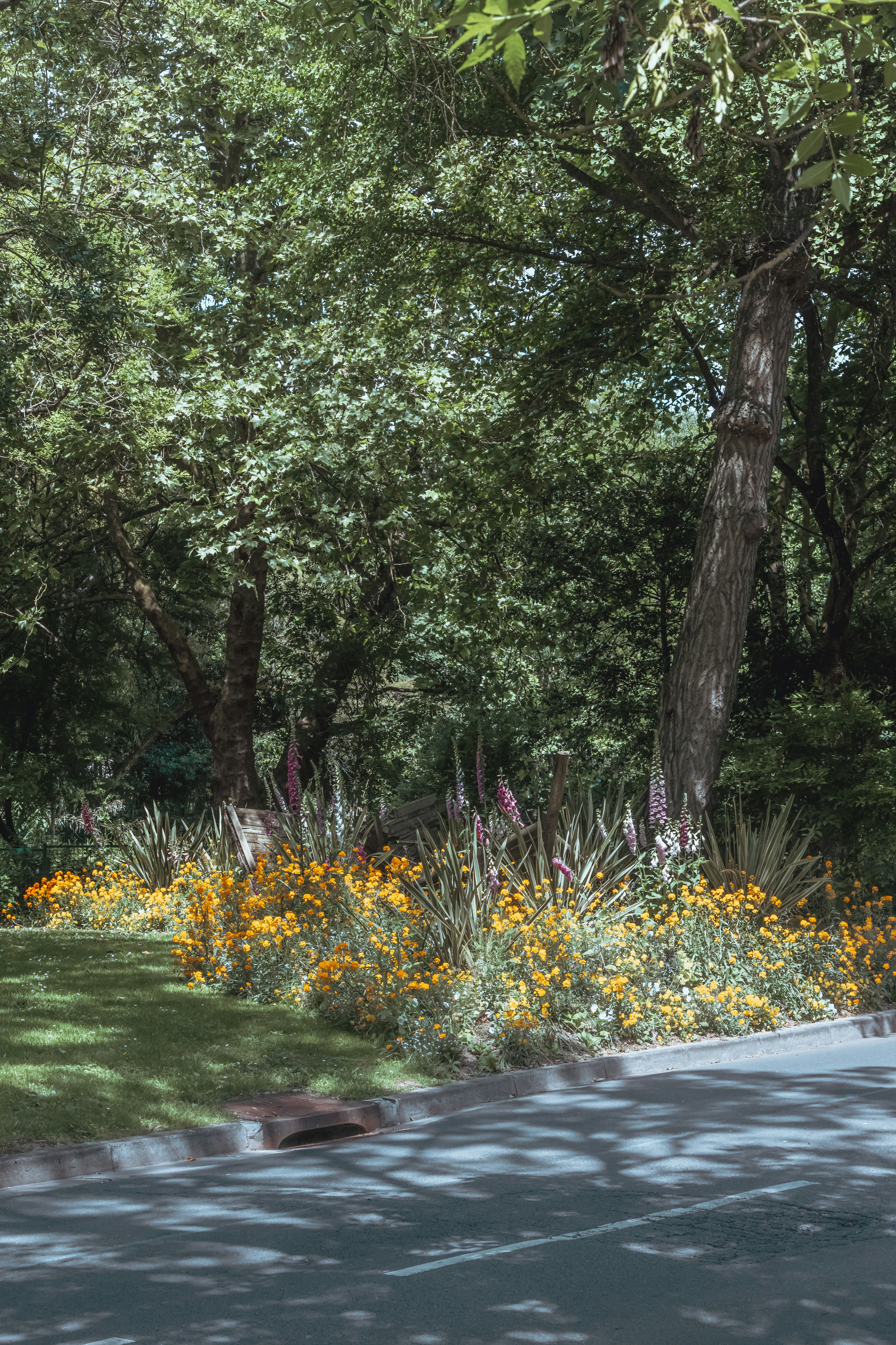 Photo by its_not_titi