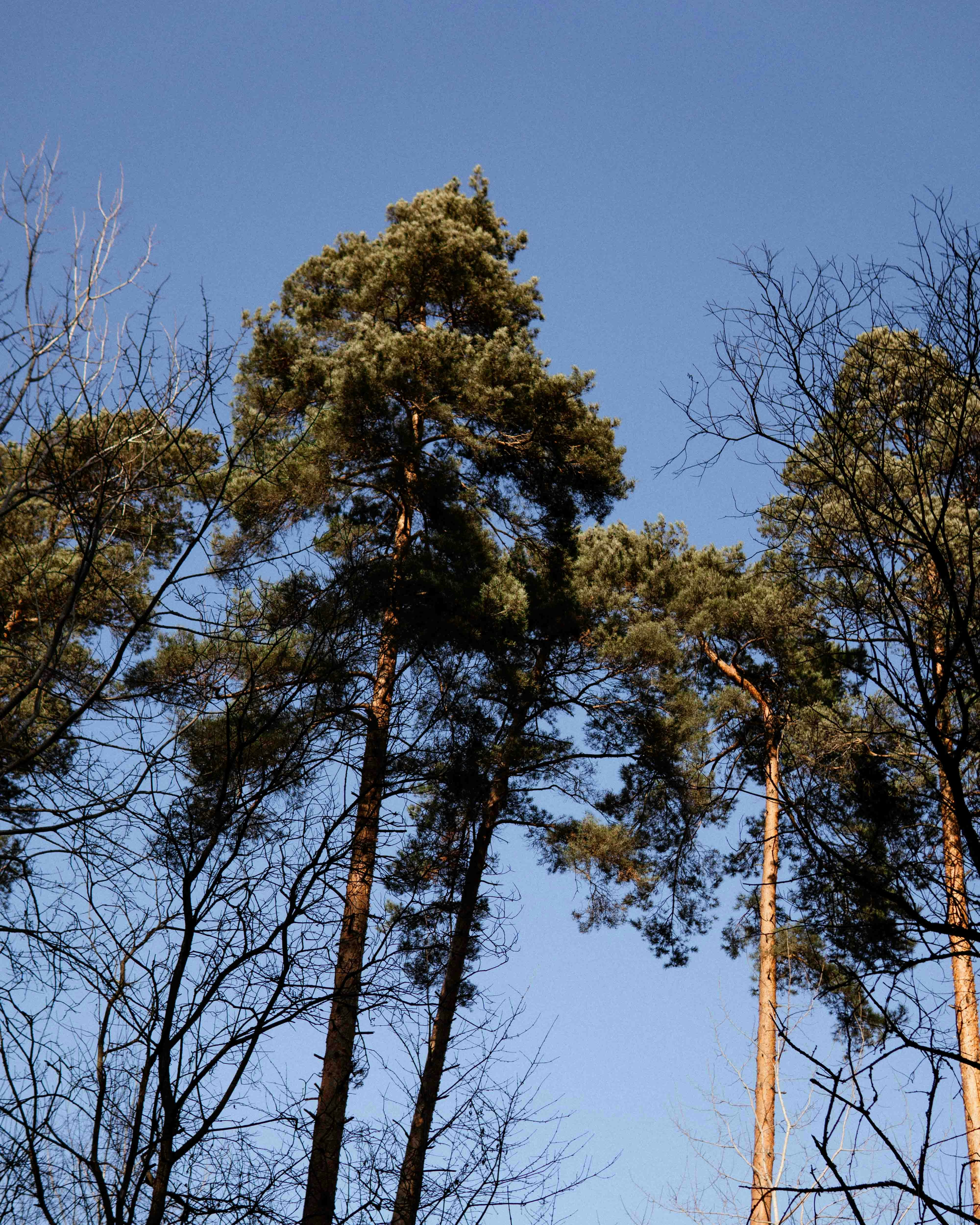 Photo by tomjancarik