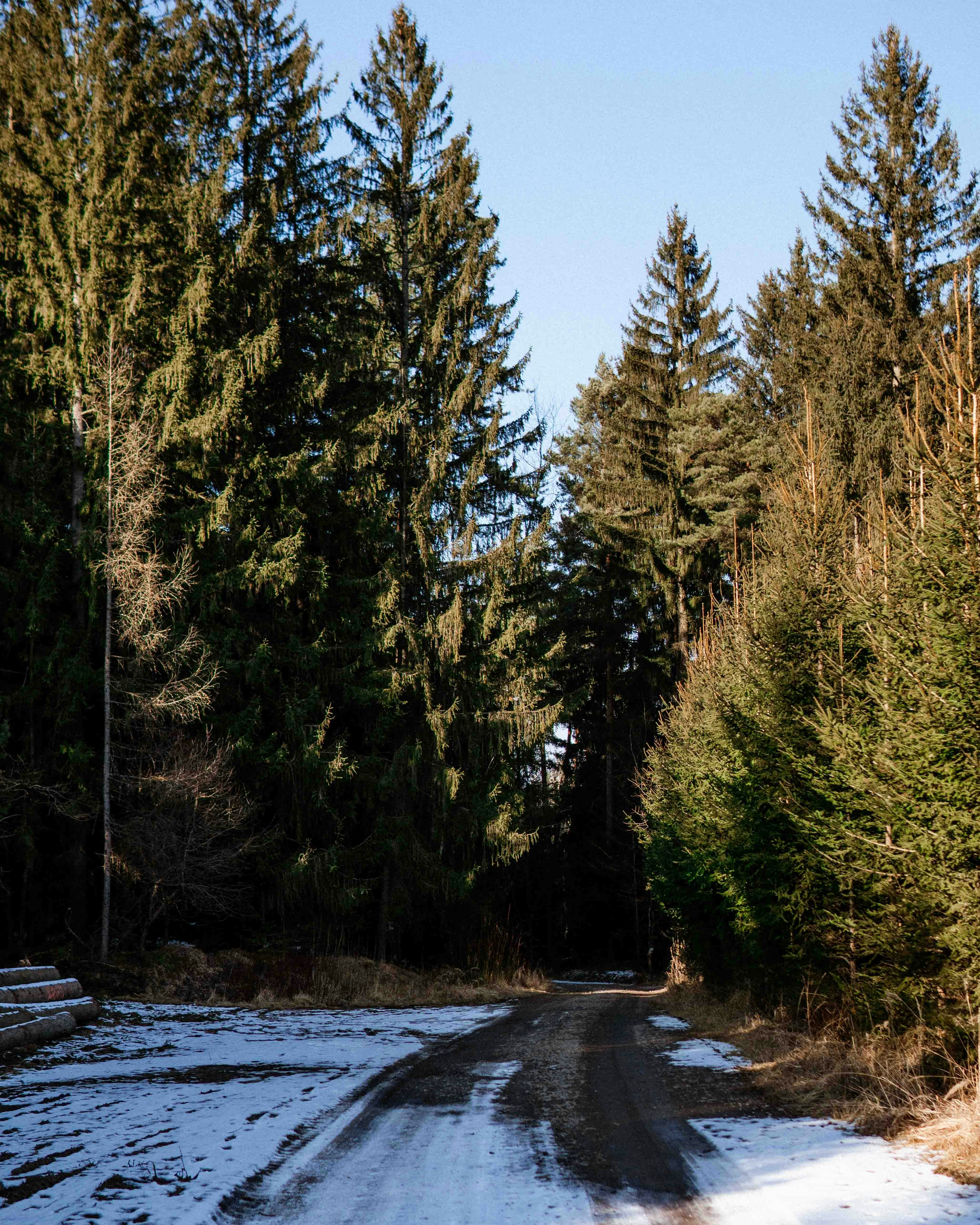 Photo by tomjancarik