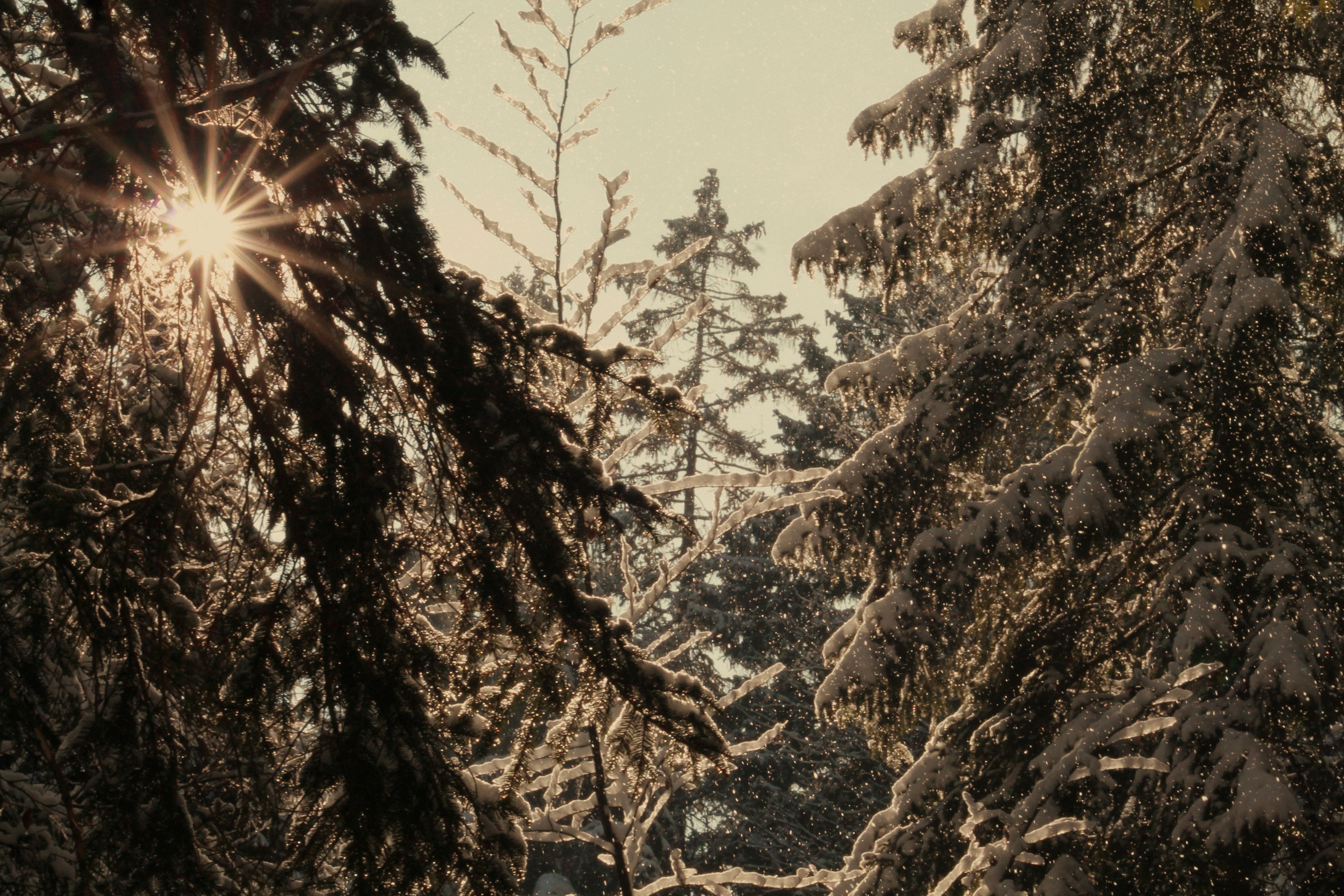 Photo by pixelwavephotography