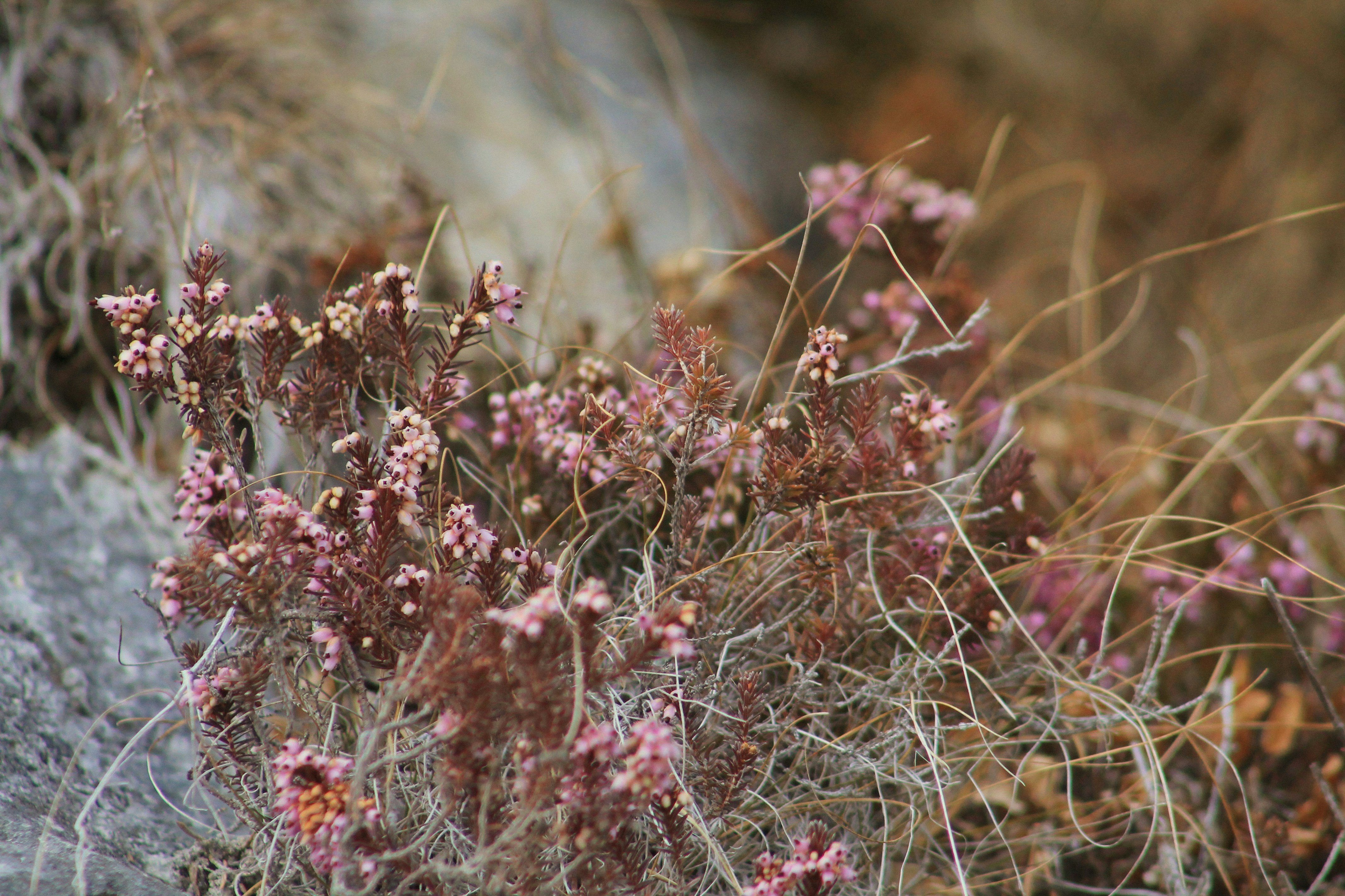 Photo by pixelwavephotography