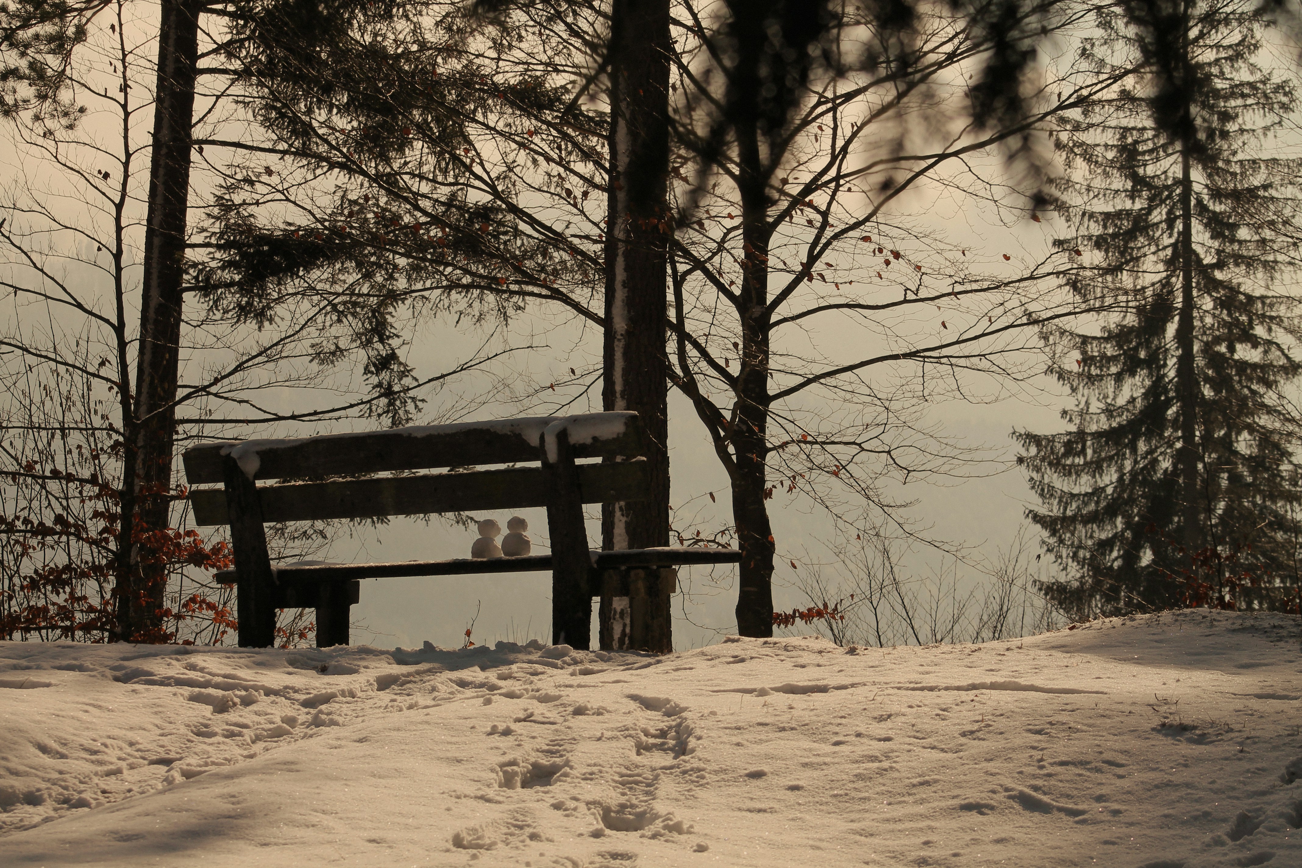 A bench sitting on top of a snow covered slope