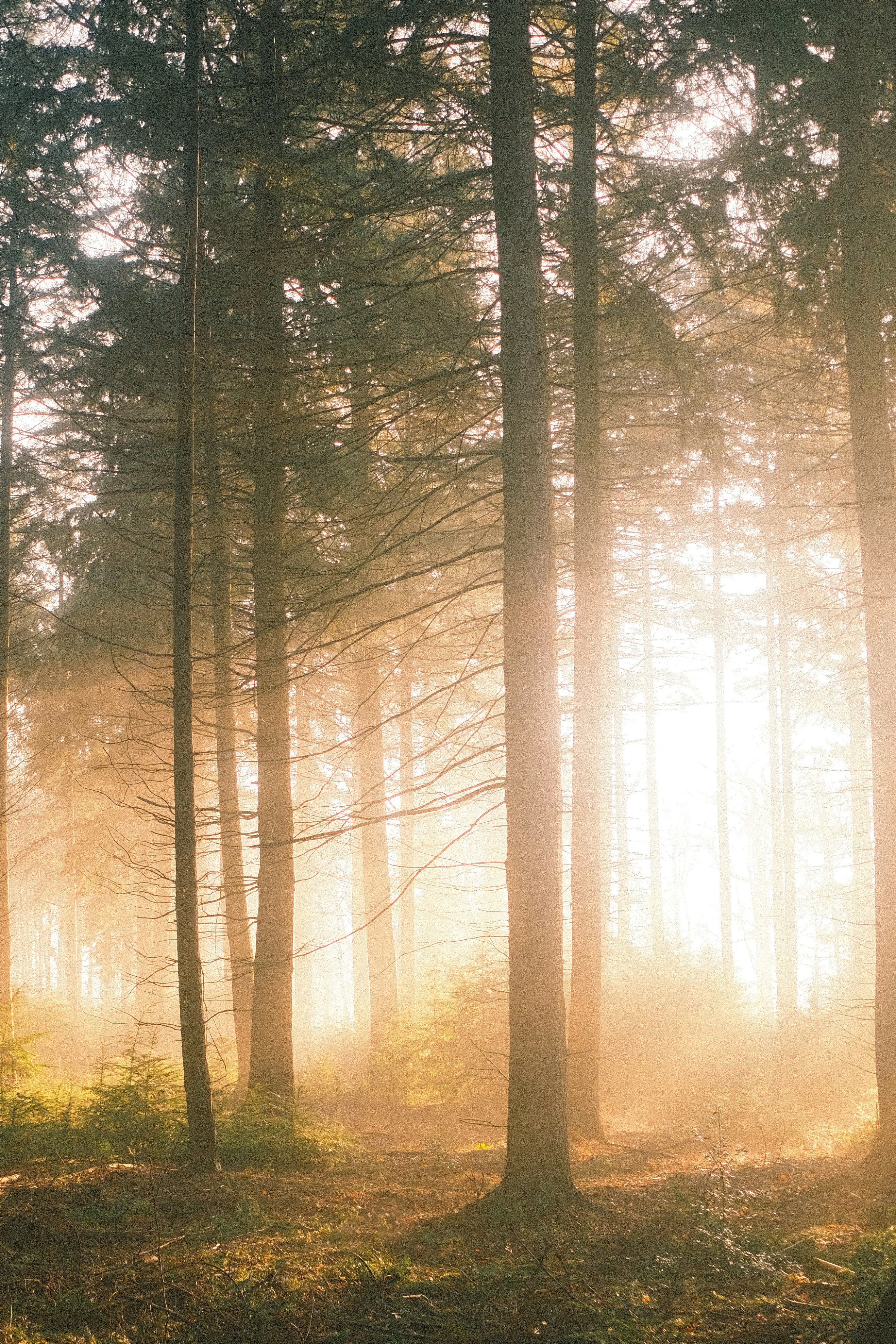 Photo by visualsbying