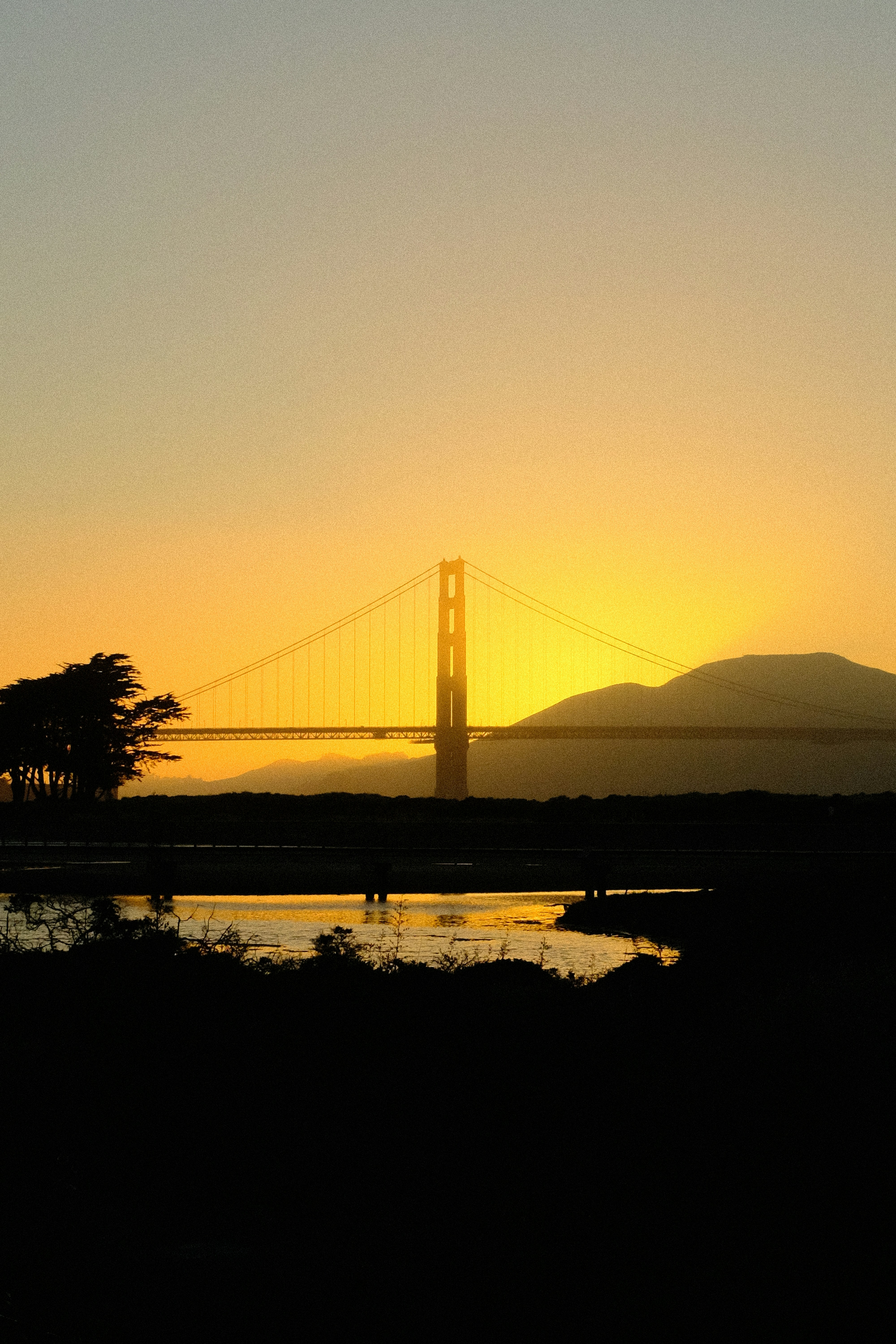 Photo by mason_merry11