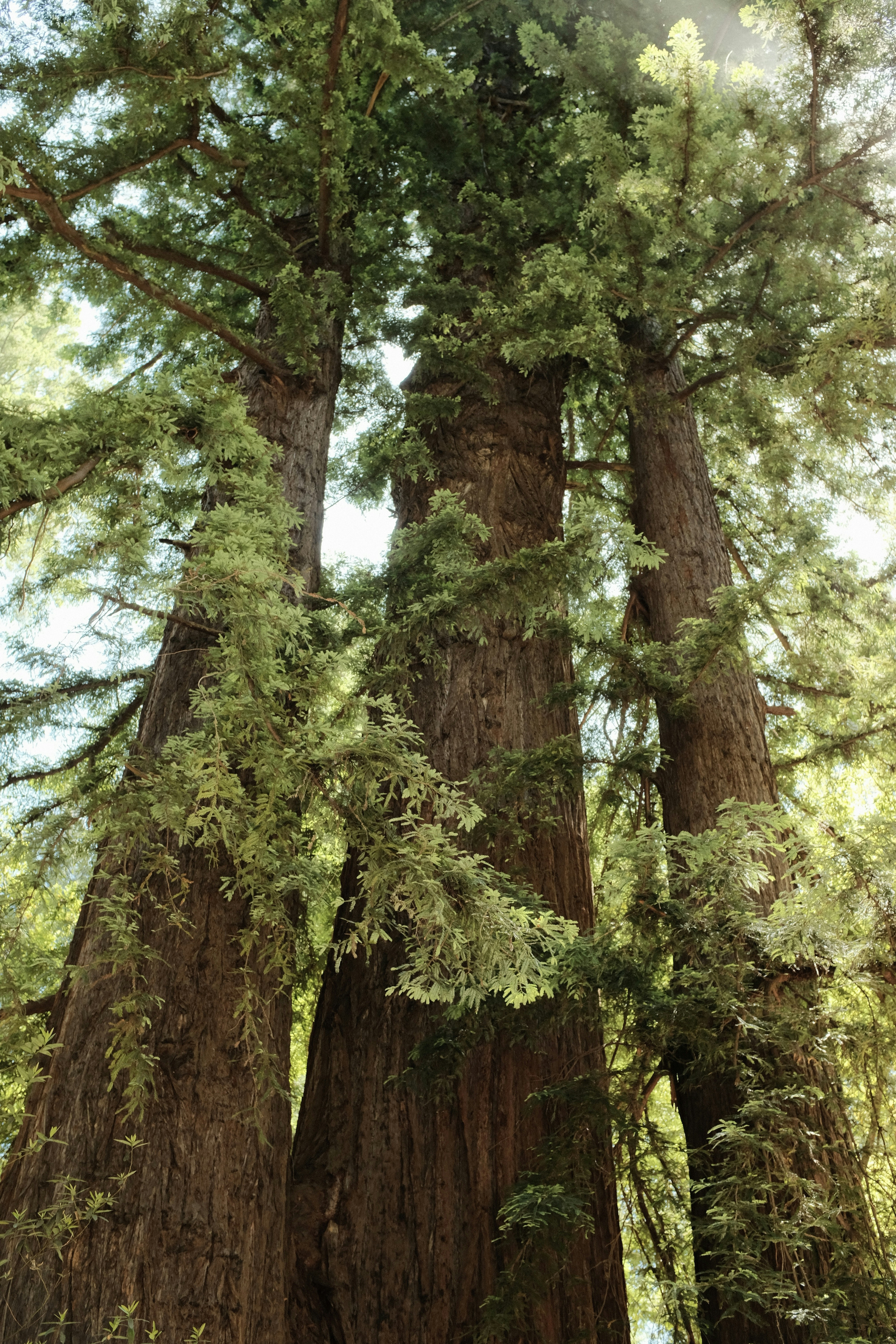 Photo by mason_merry11