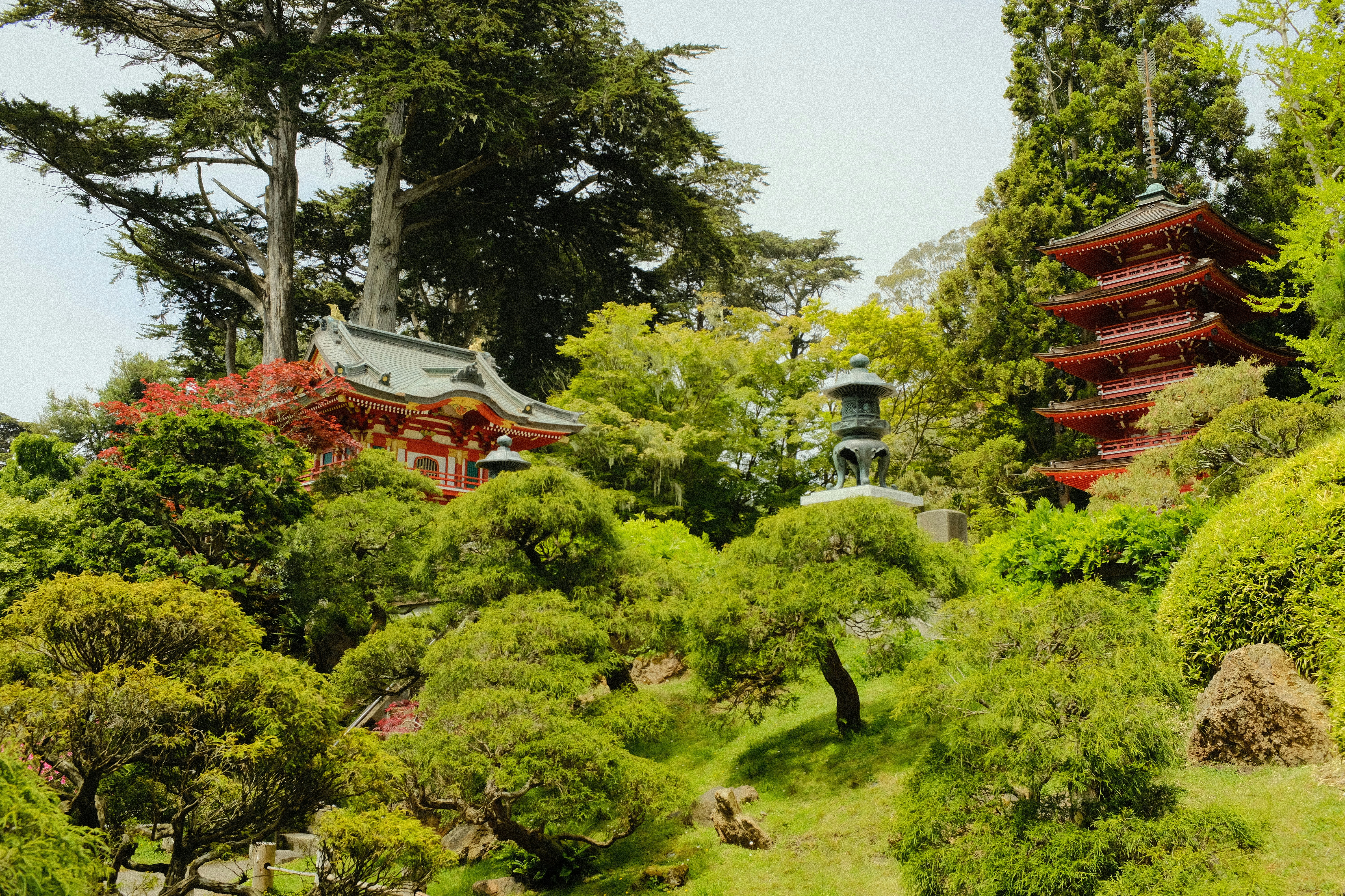 A lush green hillside covered in lots of trees