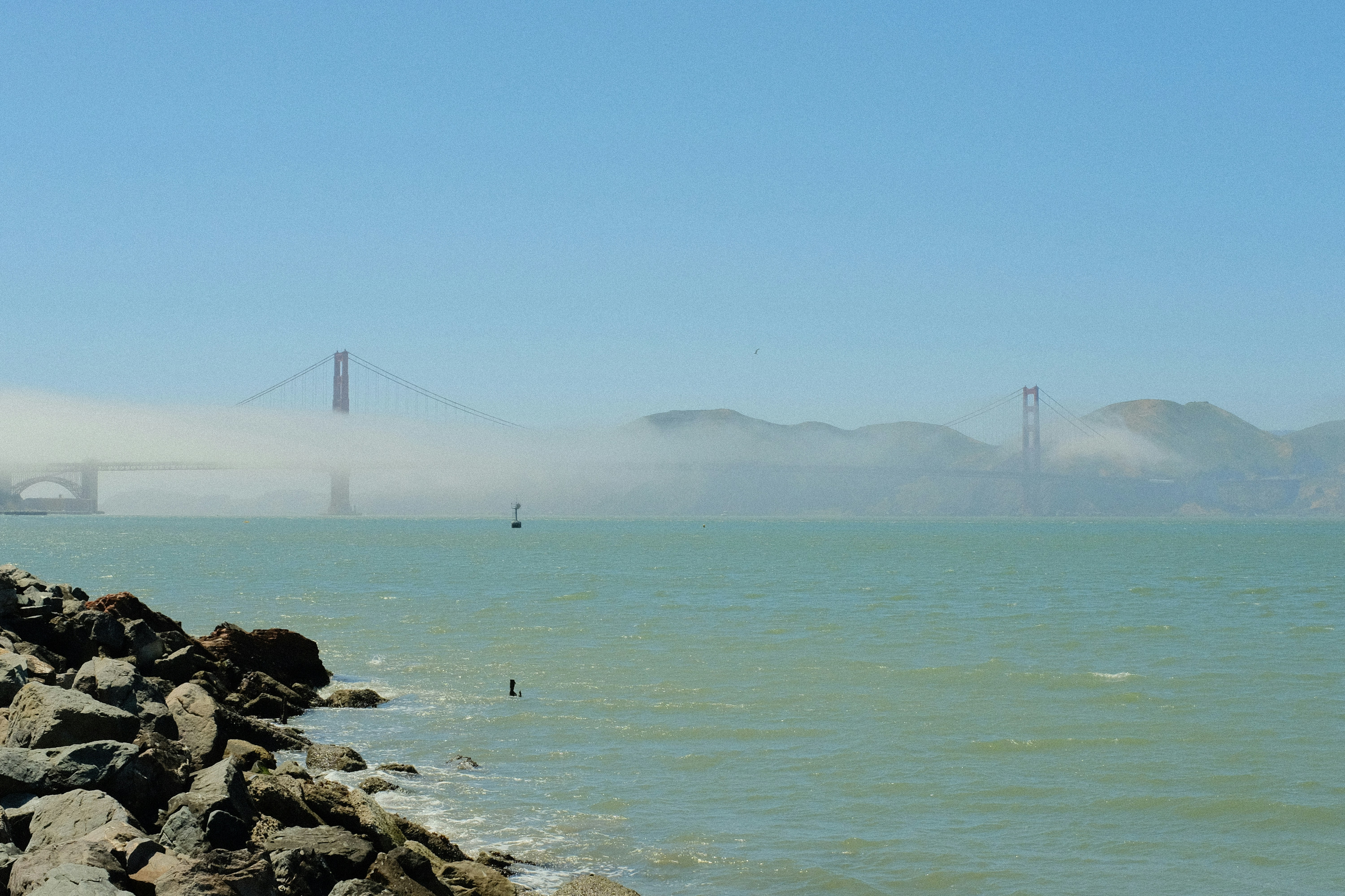 Photo by mason_merry11